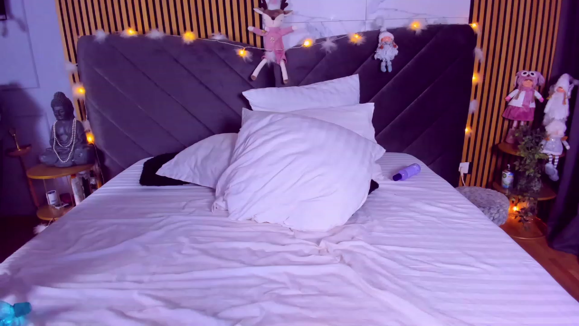 Gallery image thumbnail from AwwwElla's myfreecams stream on, 12/04/2023, 11:48 image 13 of 20