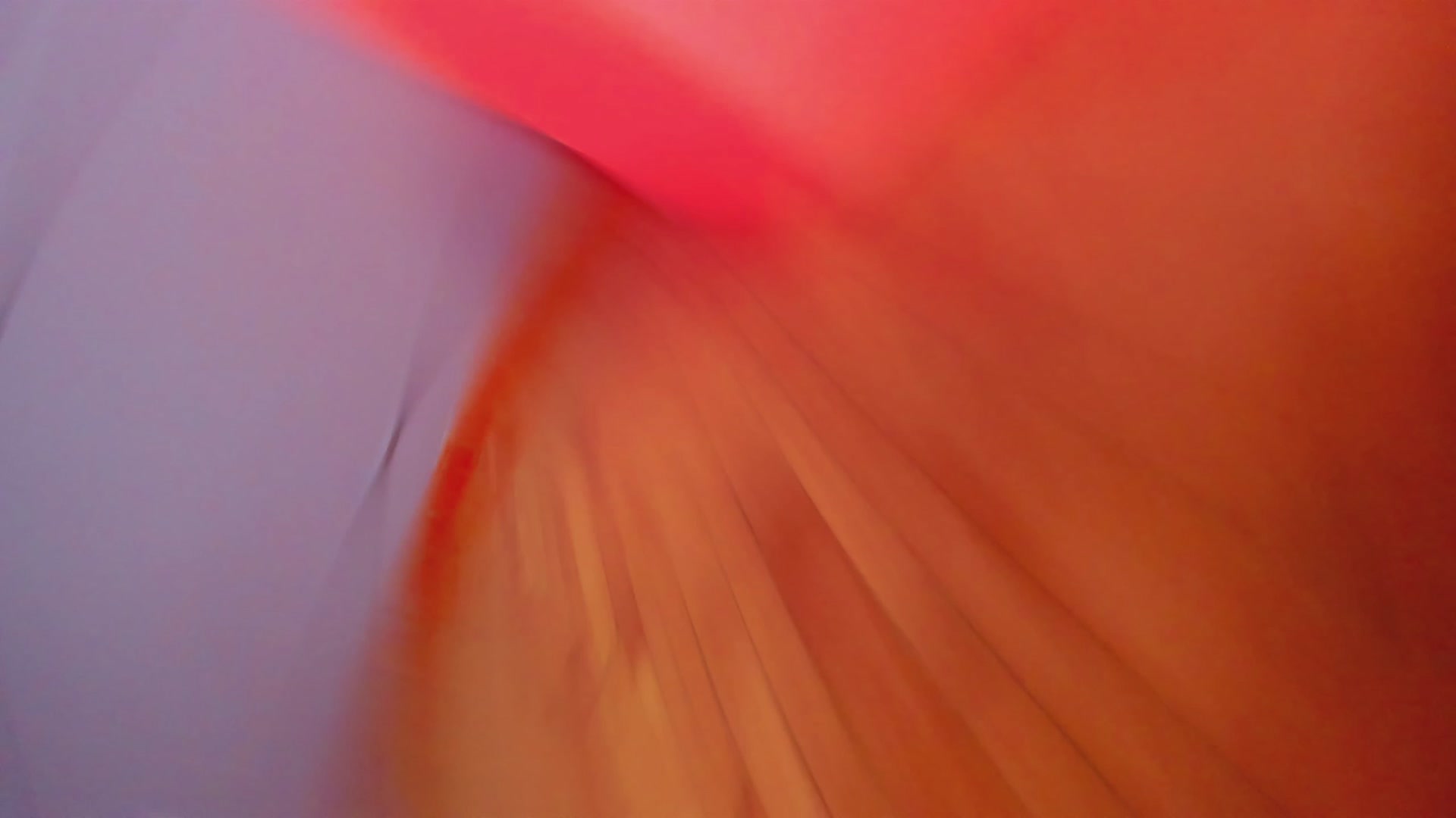Gallery image thumbnail from AwwwElla's myfreecams stream on, 08/07/2025, 06:21 image 5 of 20