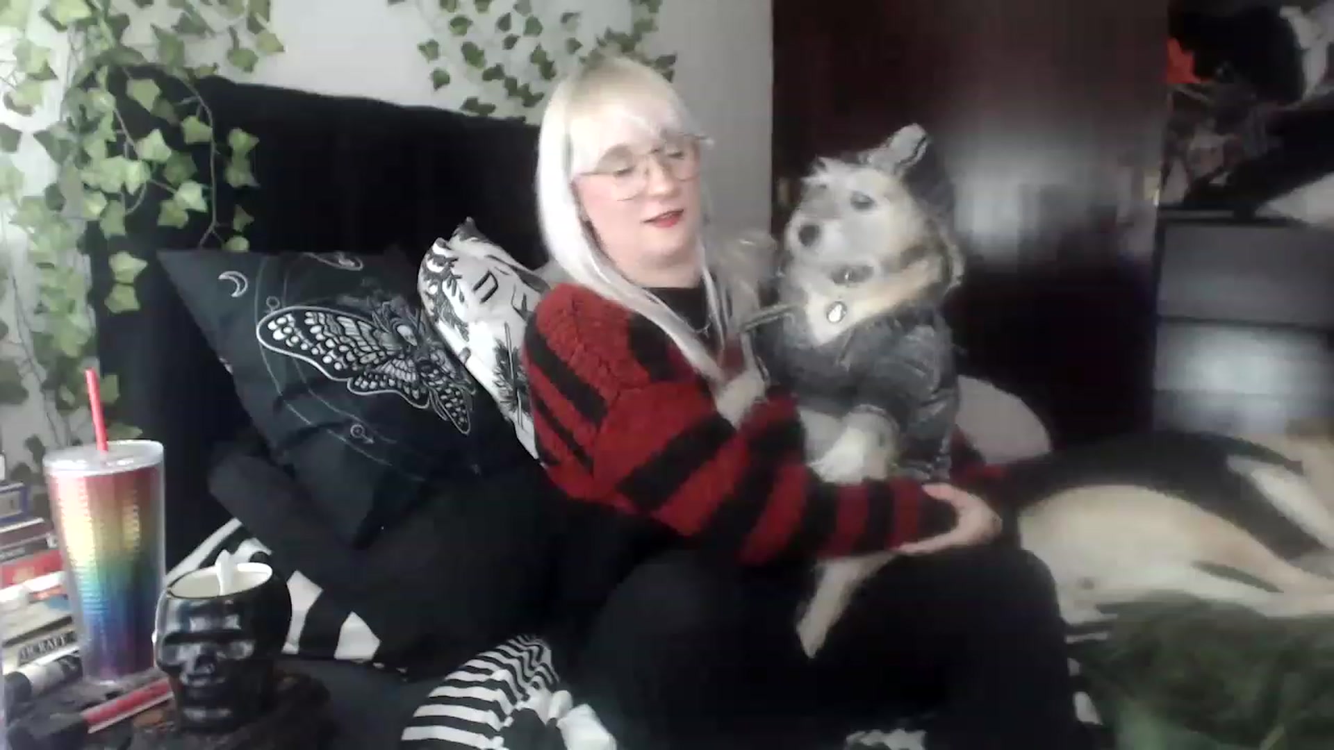 Gallery image thumbnail from AxeHallow's myfreecams stream on, 12/03/2022, 02:36 image 4 of 20