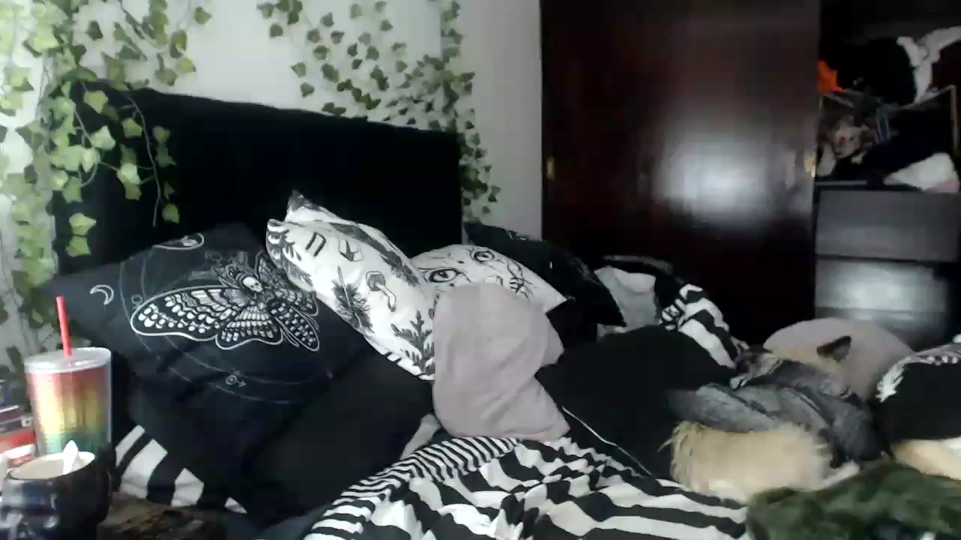Gallery image thumbnail from AxeHallow's myfreecams stream on, 12/03/2022, 02:36 image 14 of 20
