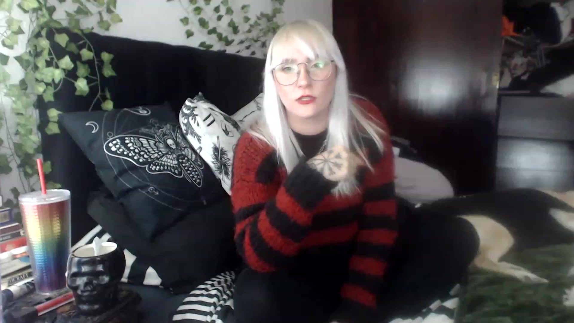 Gallery image thumbnail from AxeHallow's myfreecams stream on, 12/03/2022, 02:36 image 2 of 20