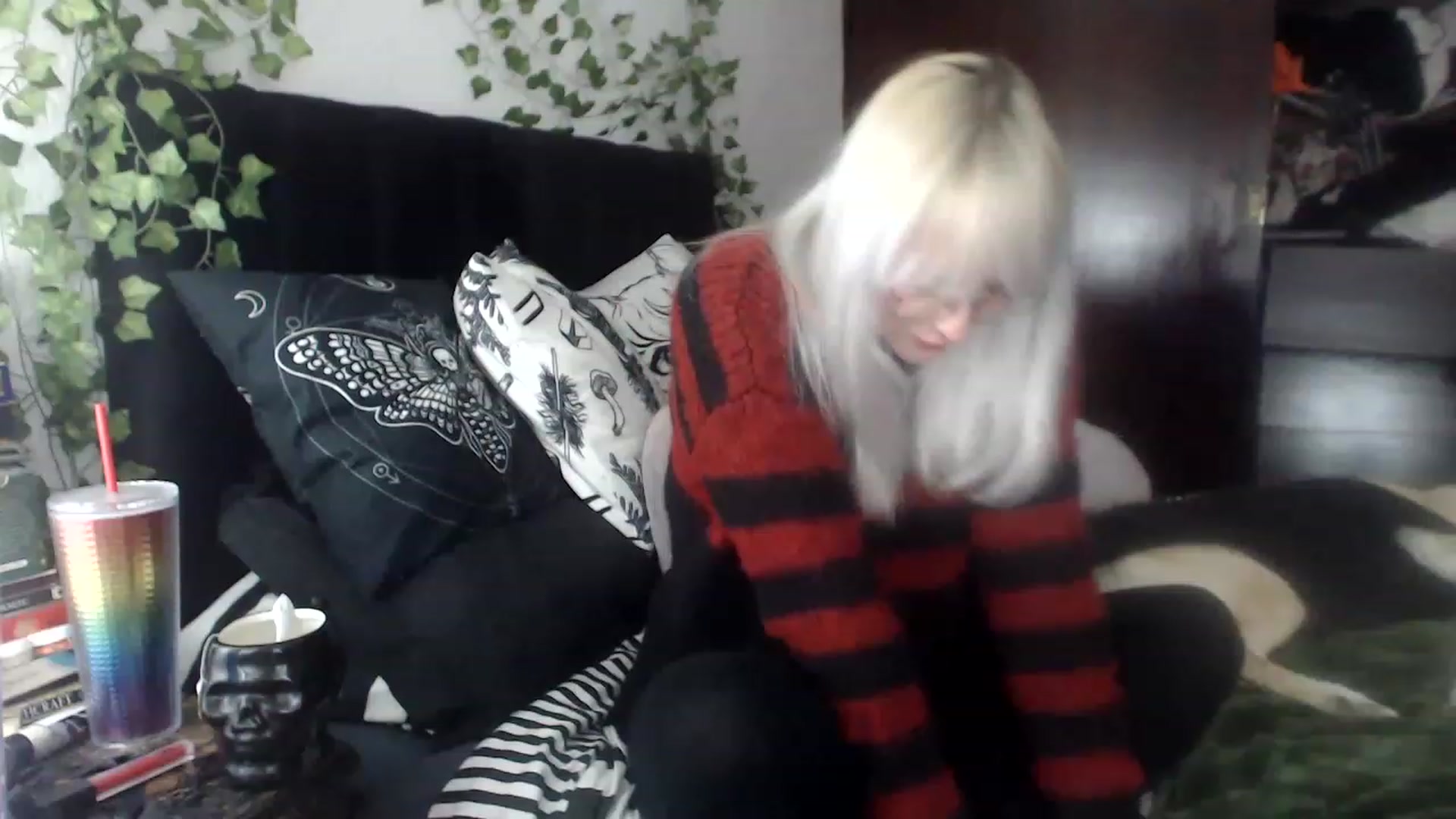 Gallery image thumbnail from AxeHallow's myfreecams stream on, 12/03/2022, 02:36 image 1 of 20