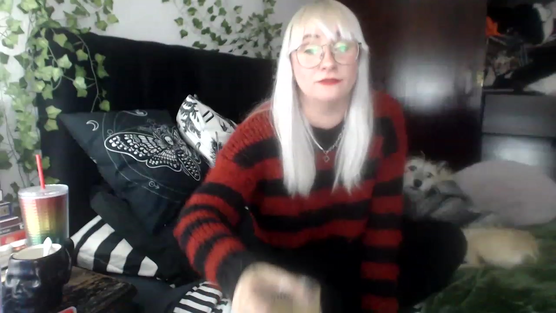 Gallery image thumbnail from AxeHallow's myfreecams stream on, 12/03/2022, 02:36 image 9 of 20