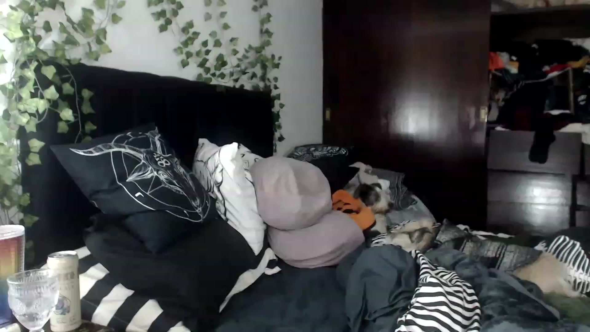 Gallery image thumbnail from AxeHallow's myfreecams stream on, 12/05/2022, 08:17 image 1 of 20