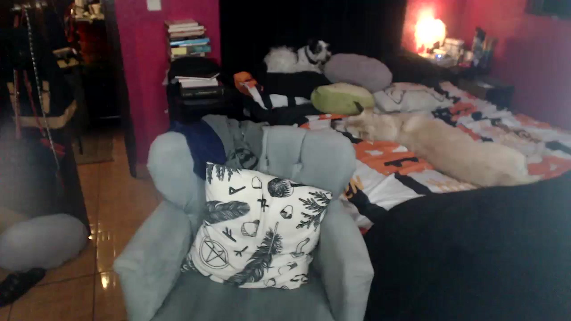 Gallery image thumbnail from AxeHallow's myfreecams stream on, 06/11/2023, 08:49 image 18 of 20