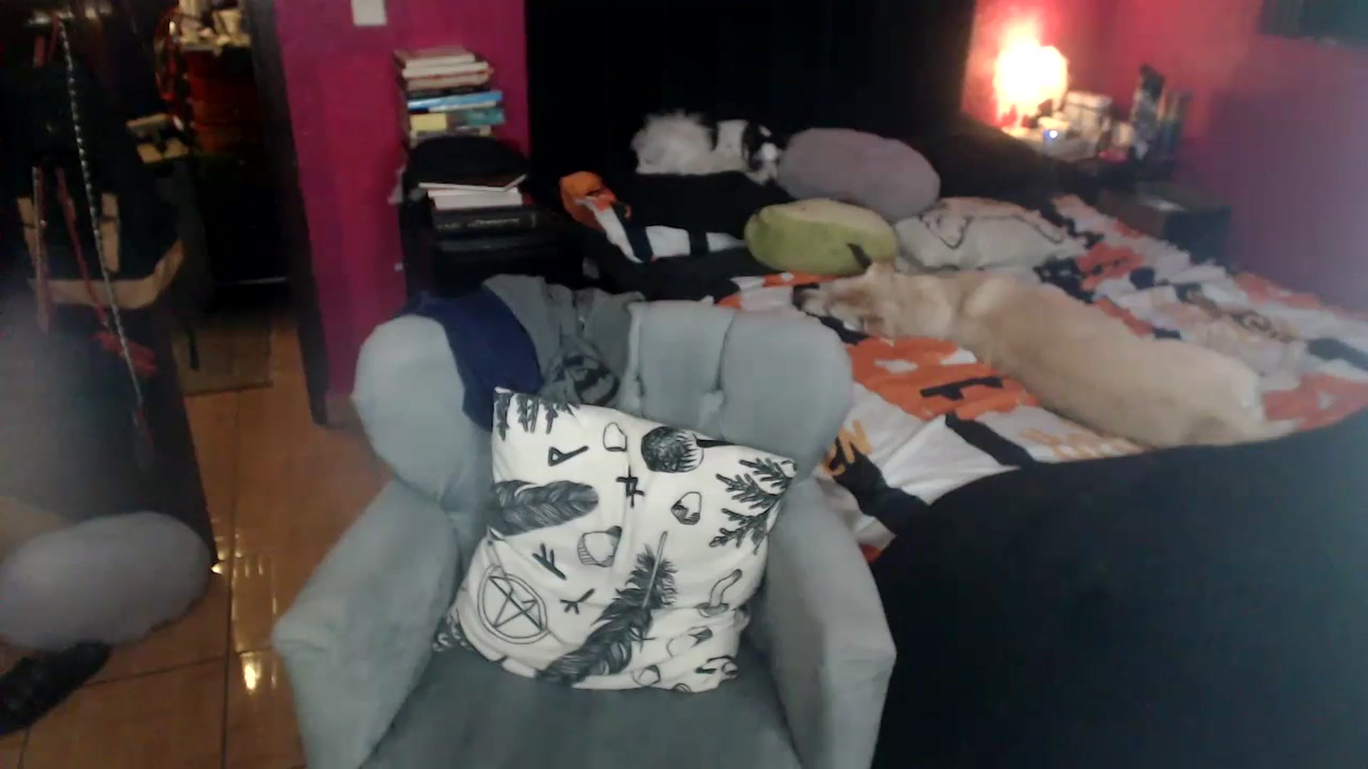 Gallery image thumbnail from AxeHallow's myfreecams stream on, 06/11/2023, 08:49 image 19 of 20