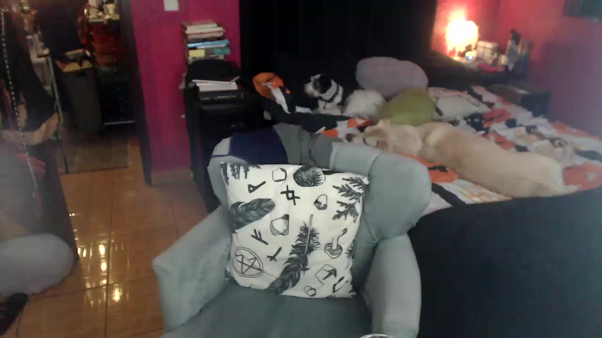 Gallery image thumbnail from AxeHallow's myfreecams stream on, 06/11/2023, 09:18 image 7 of 20