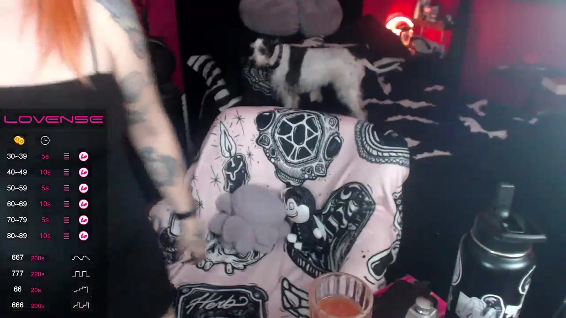 Gallery image thumbnail from AxeHallow's myfreecams stream on, 09/27/2023, 03:30 image 7 of 20
