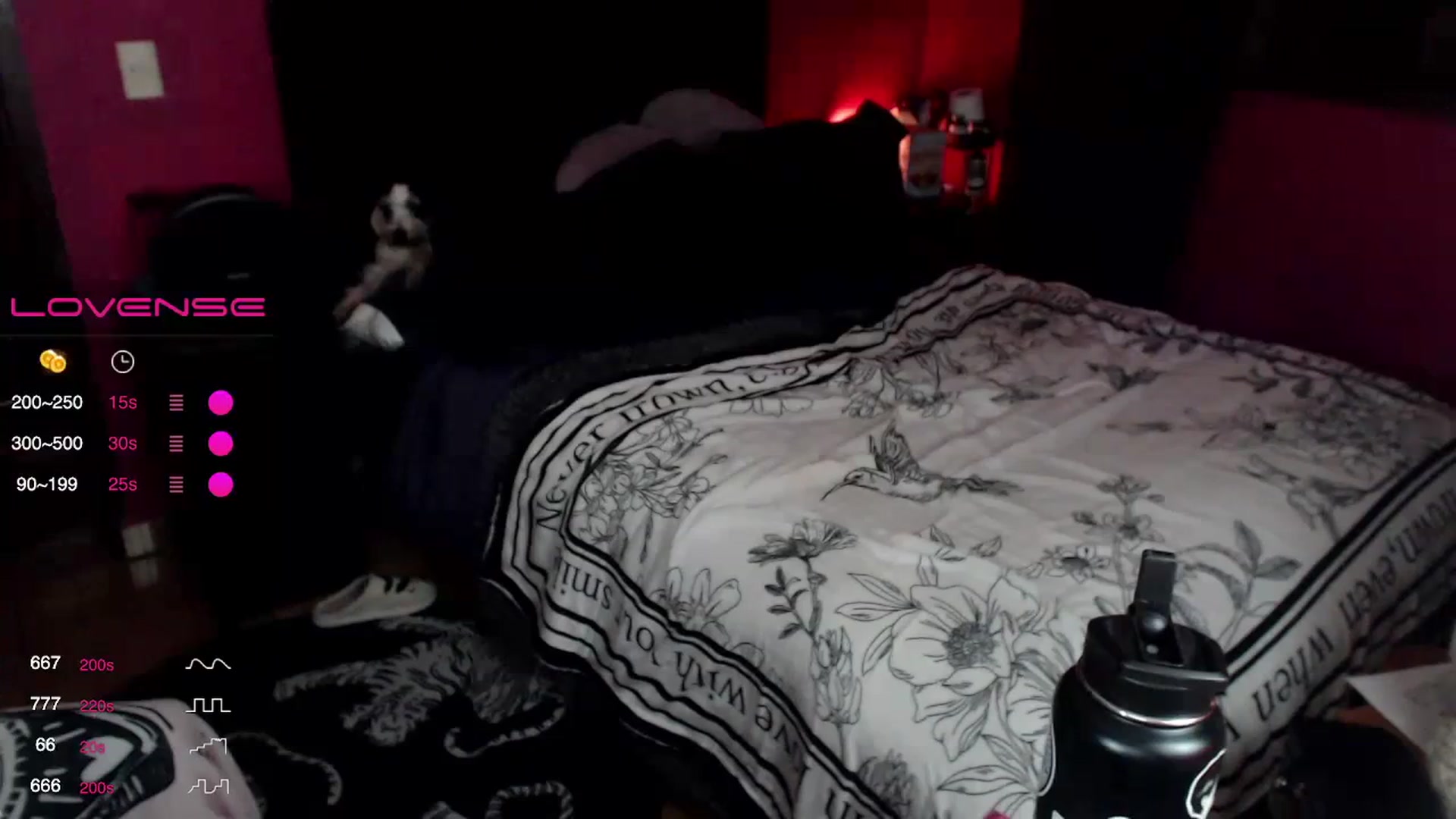 Gallery image thumbnail from AxeHallow's myfreecams stream on, 12/21/2023, 02:40 image 12 of 20
