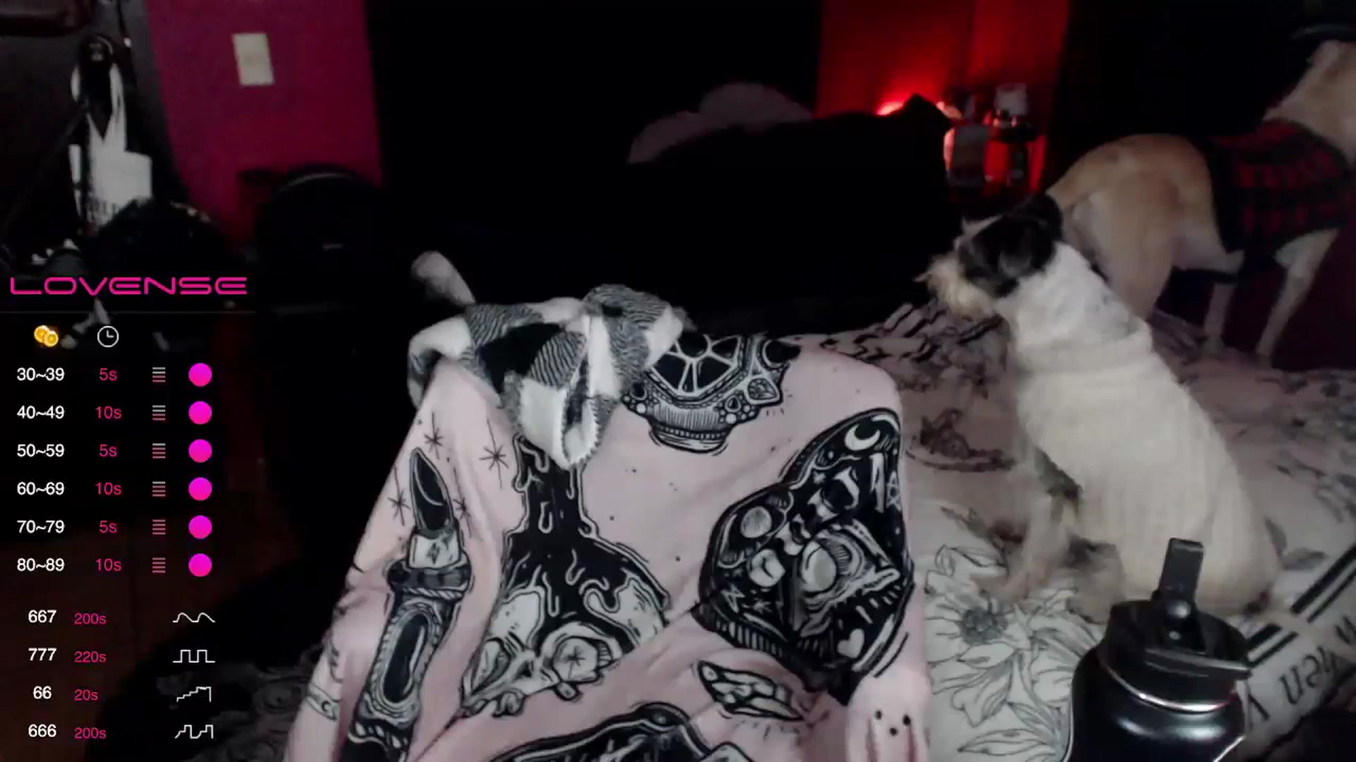 Gallery image thumbnail from AxeHallow's myfreecams stream on, 12/21/2023, 02:40 image 8 of 20