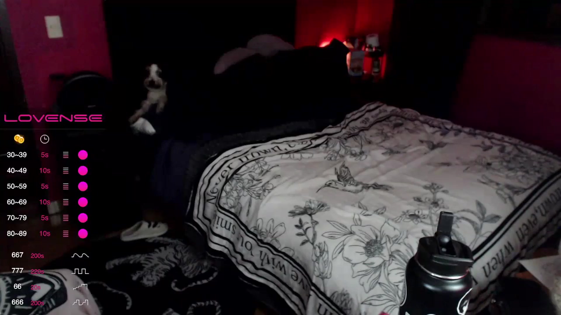 Gallery image thumbnail from AxeHallow's myfreecams stream on, 12/21/2023, 02:40 image 11 of 20