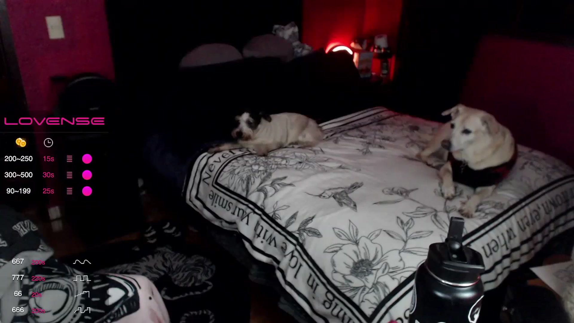 Gallery image thumbnail from AxeHallow's myfreecams stream on, 12/21/2023, 02:40 image 17 of 20