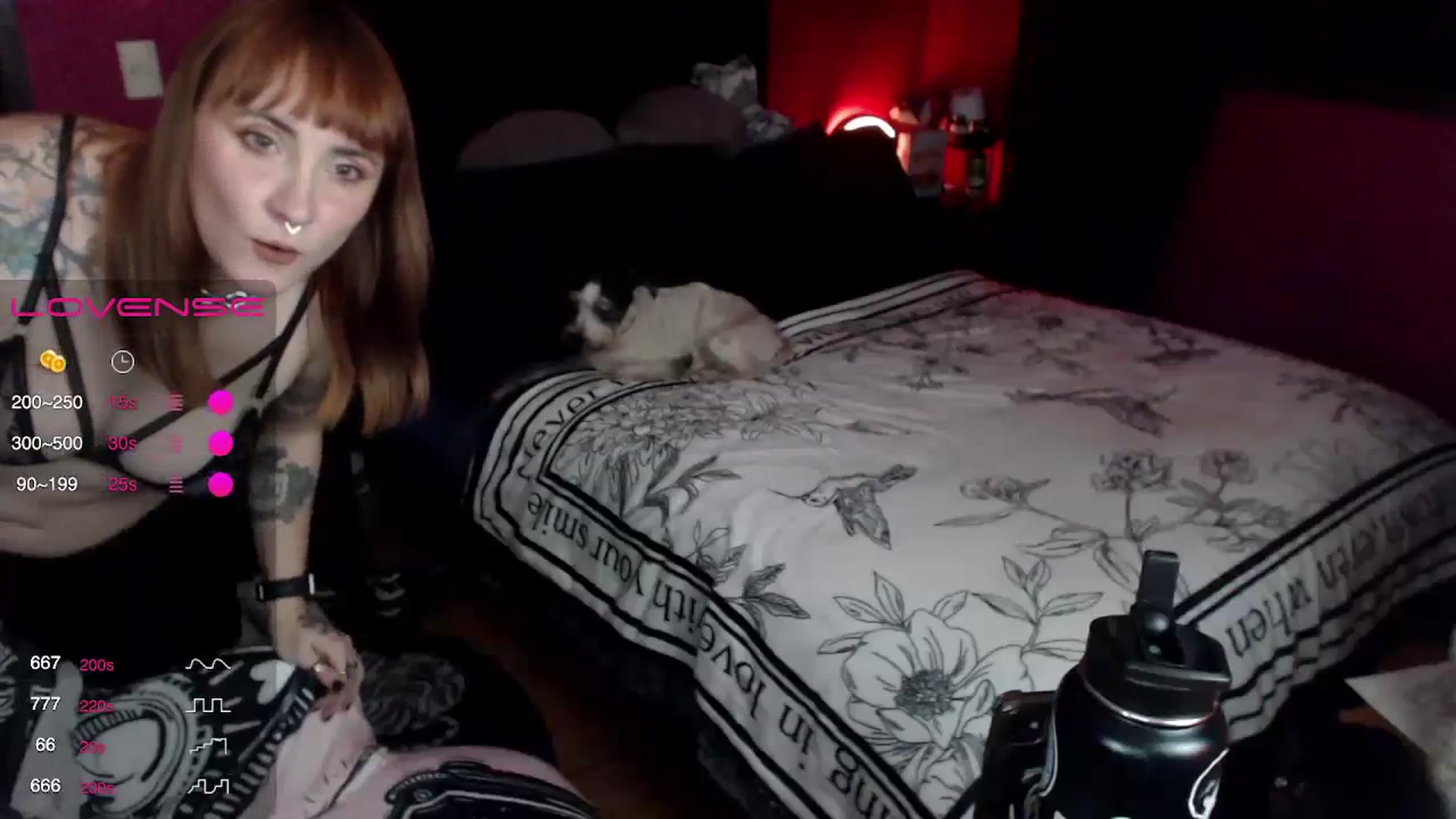 Gallery image thumbnail from AxeHallow's myfreecams stream on, 12/21/2023, 02:40 image 19 of 20