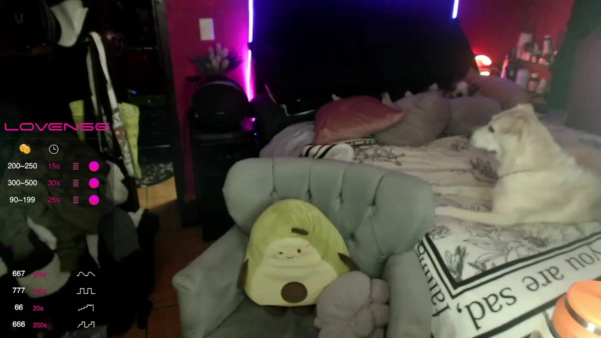 Gallery image thumbnail from AxeHallow's myfreecams stream on, 02/29/2024, 05:28 image 14 of 20