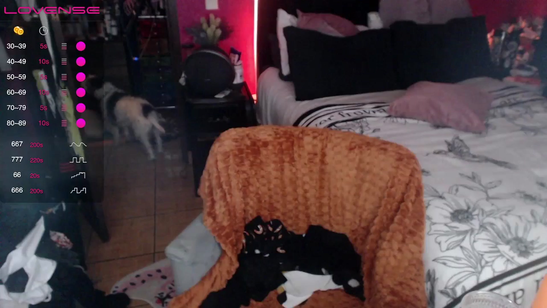 Gallery image thumbnail from AxeHallow's myfreecams stream on, 03/27/2024, 01:05 image 18 of 20