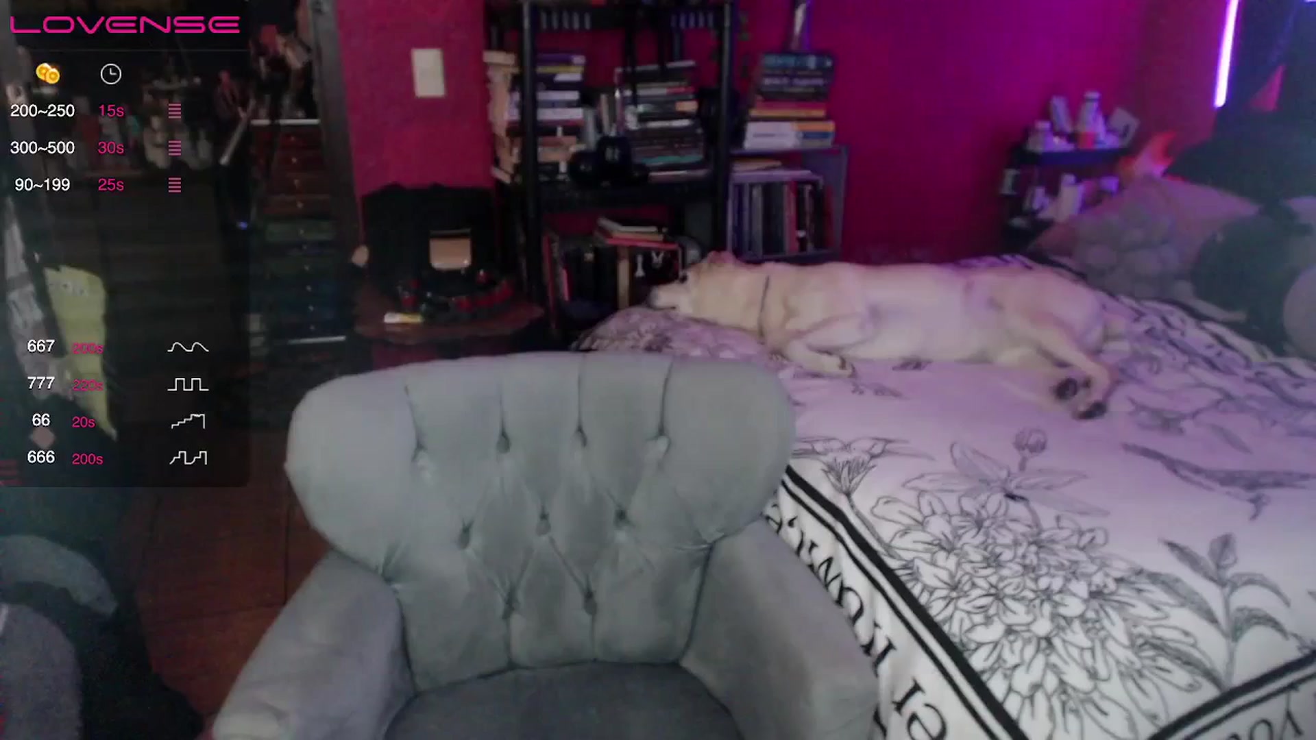 Gallery image thumbnail from AxeHallow's myfreecams stream on, 04/12/2024, 24:47 image 15 of 20