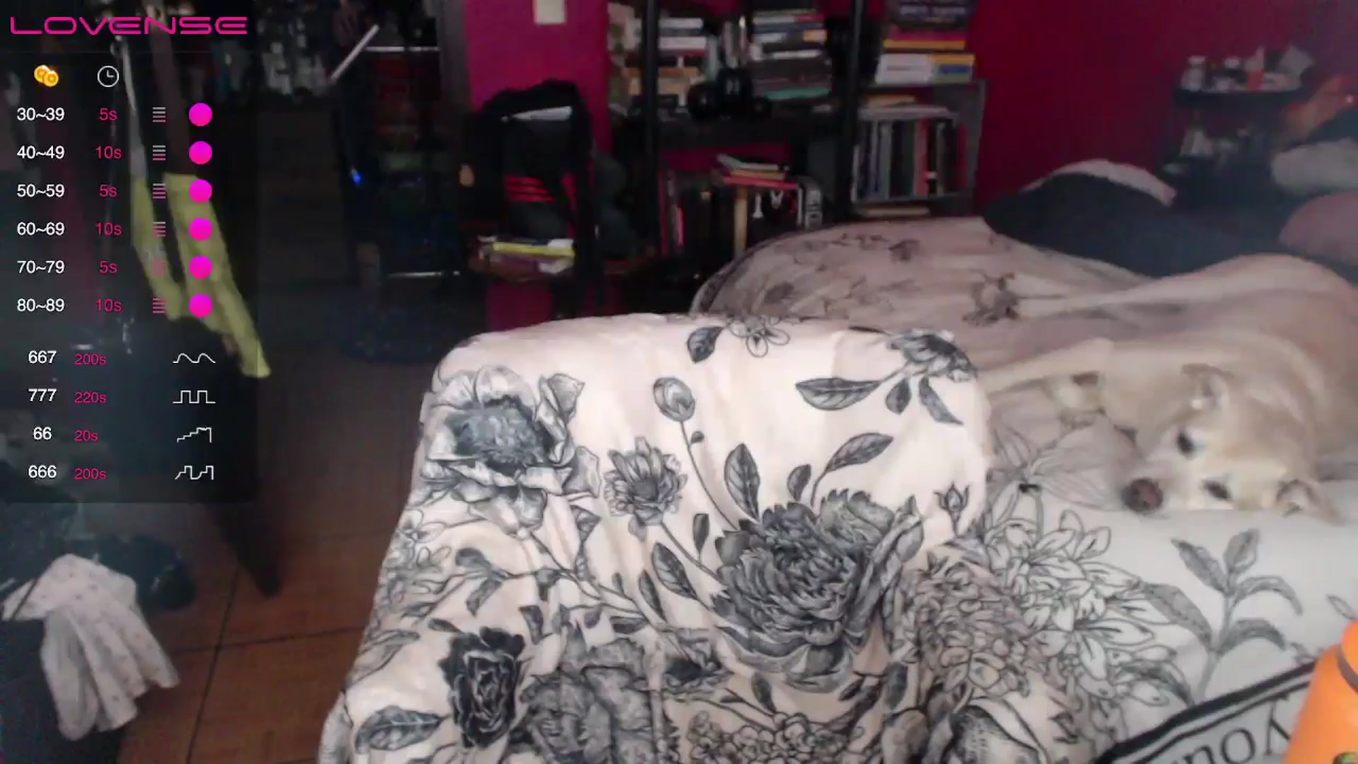 Gallery image thumbnail from AxeHallow's myfreecams stream on, 04/24/2024, 06:05 image 20 of 20