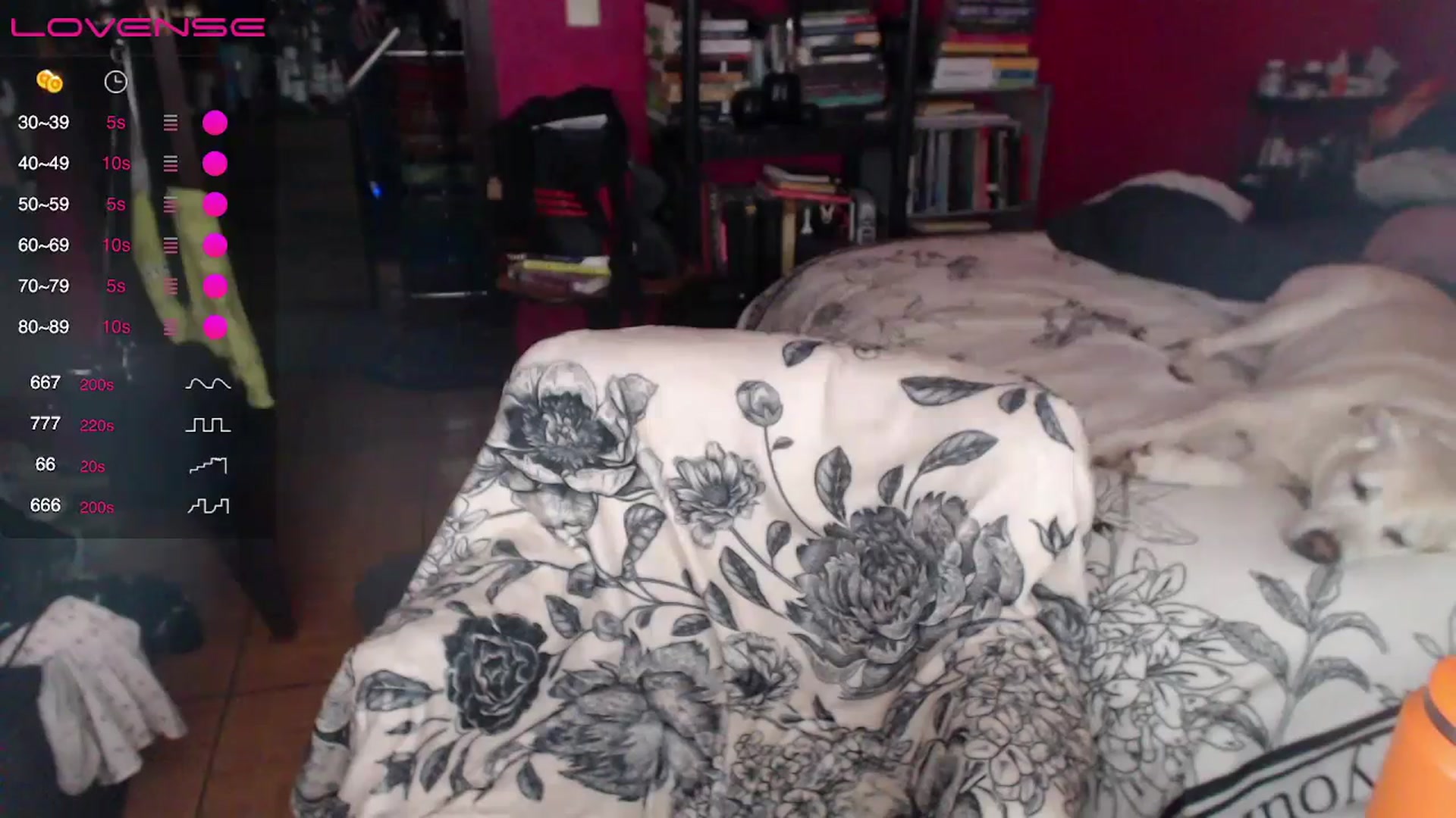Gallery image thumbnail from AxeHallow's myfreecams stream on, 04/24/2024, 06:05 image 8 of 20