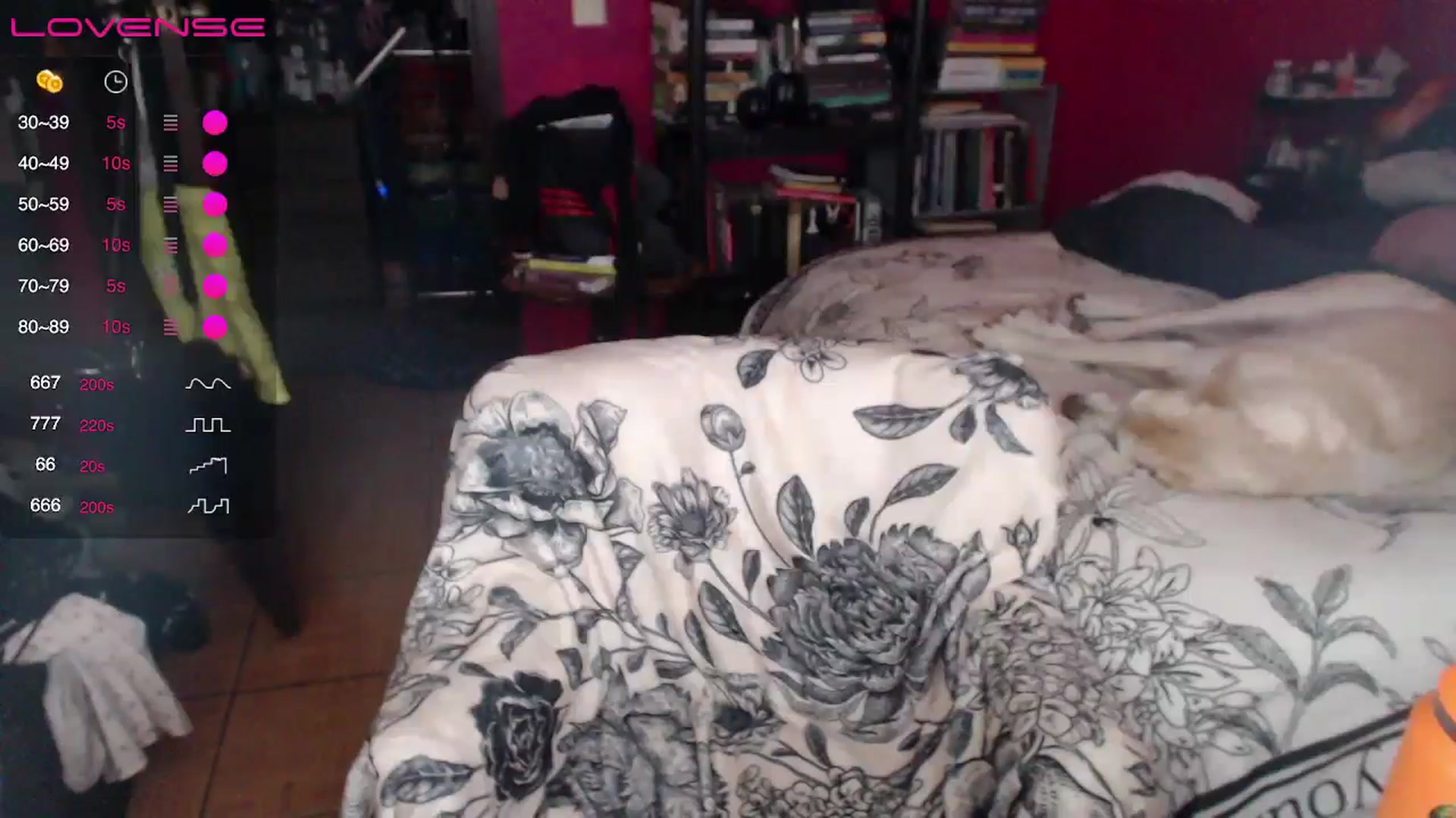 Gallery image thumbnail from AxeHallow's myfreecams stream on, 04/24/2024, 06:05 image 17 of 20