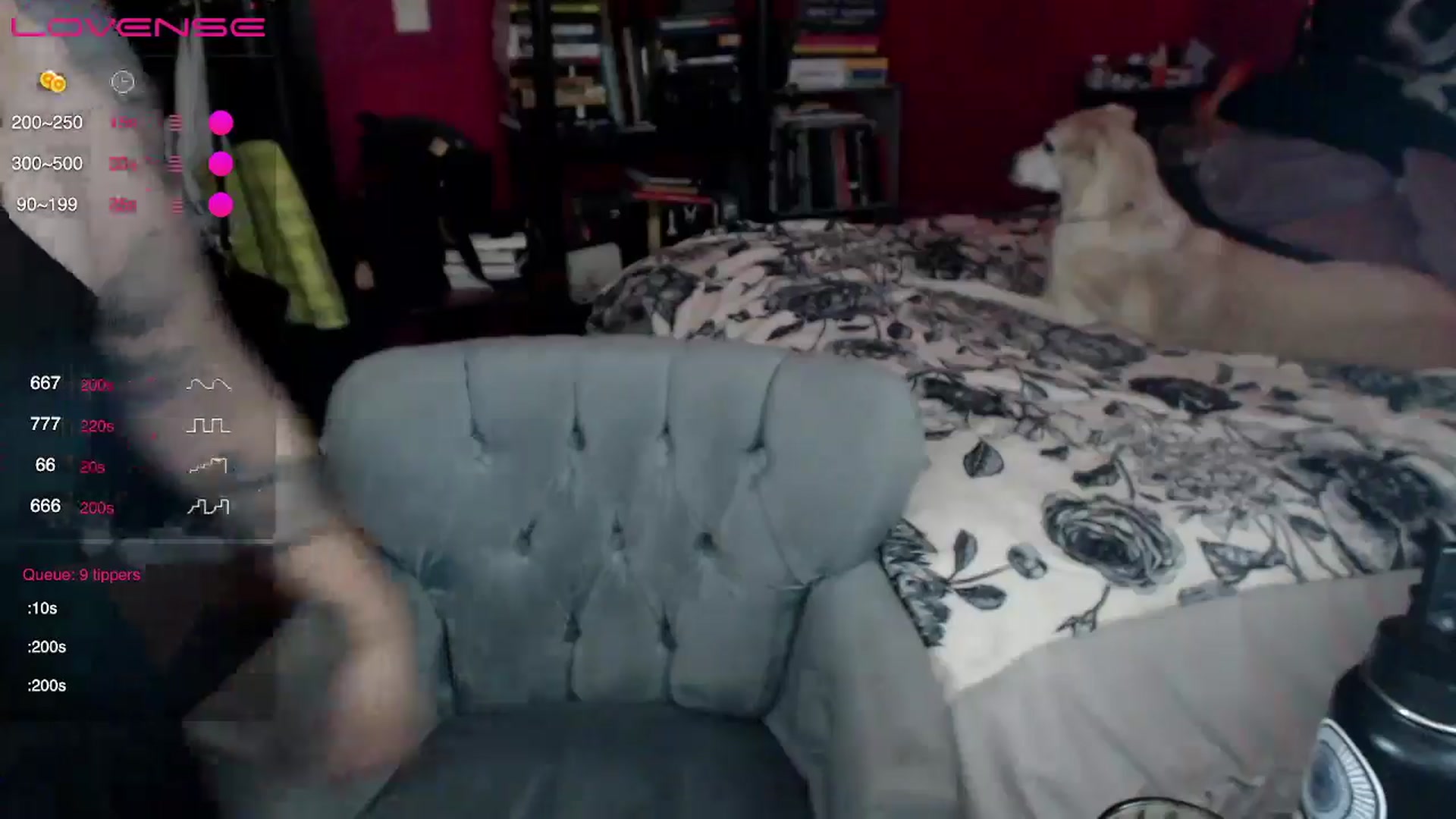 Gallery image thumbnail from AxeHallow's myfreecams stream on, 05/07/2024, 01:50 image 13 of 20