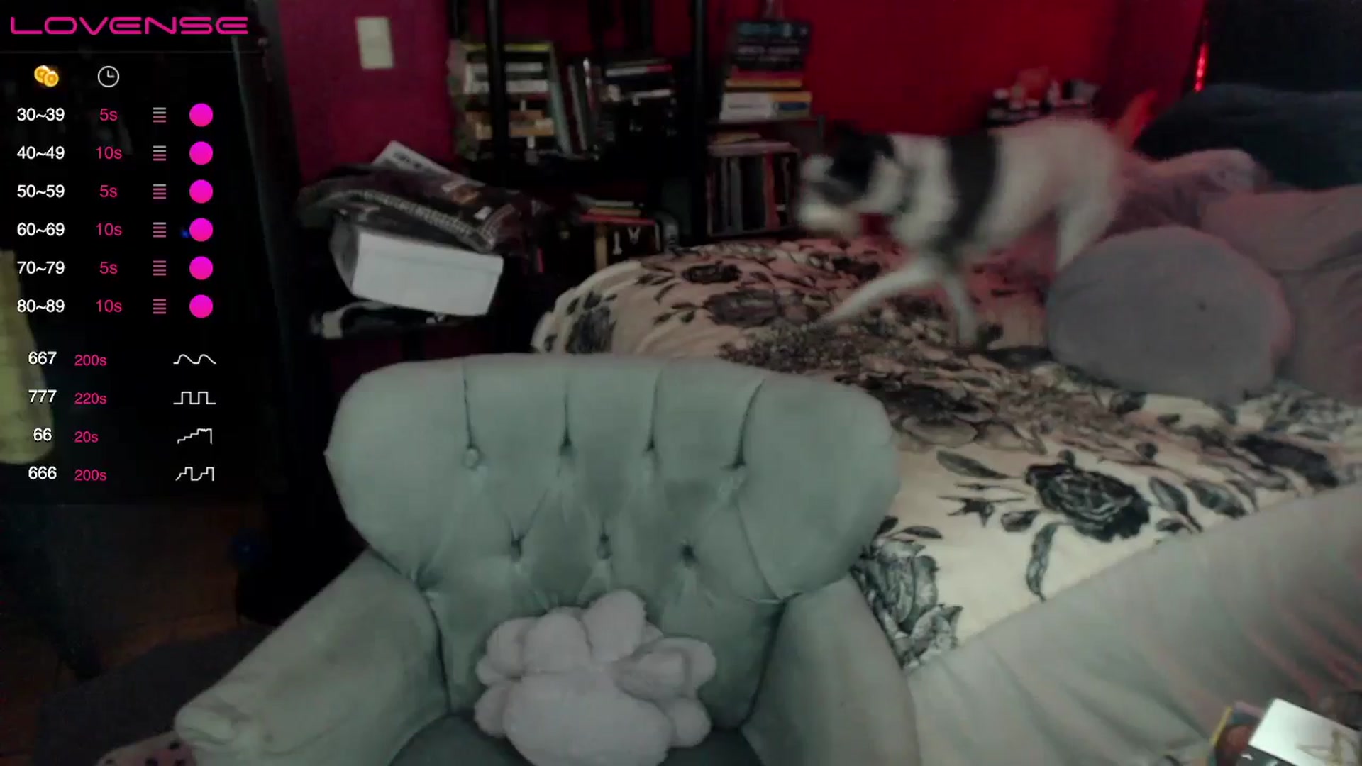Gallery image thumbnail from AxeHallow's myfreecams stream on, 05/22/2024, 22:30 image 16 of 20