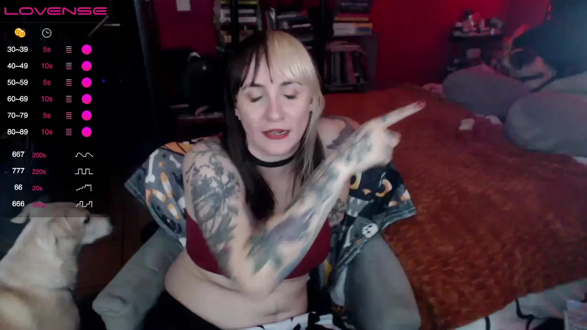 Gallery image thumbnail from AxeHallow's myfreecams stream on, 06/23/2024, 07:41 image 16 of 20