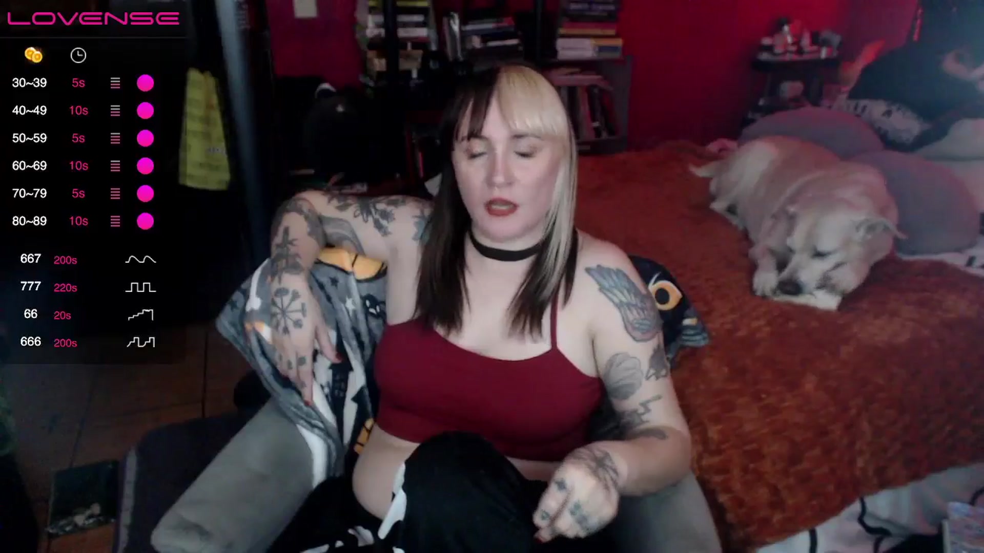 Gallery image thumbnail from AxeHallow's myfreecams stream on, 06/23/2024, 07:41 image 12 of 20