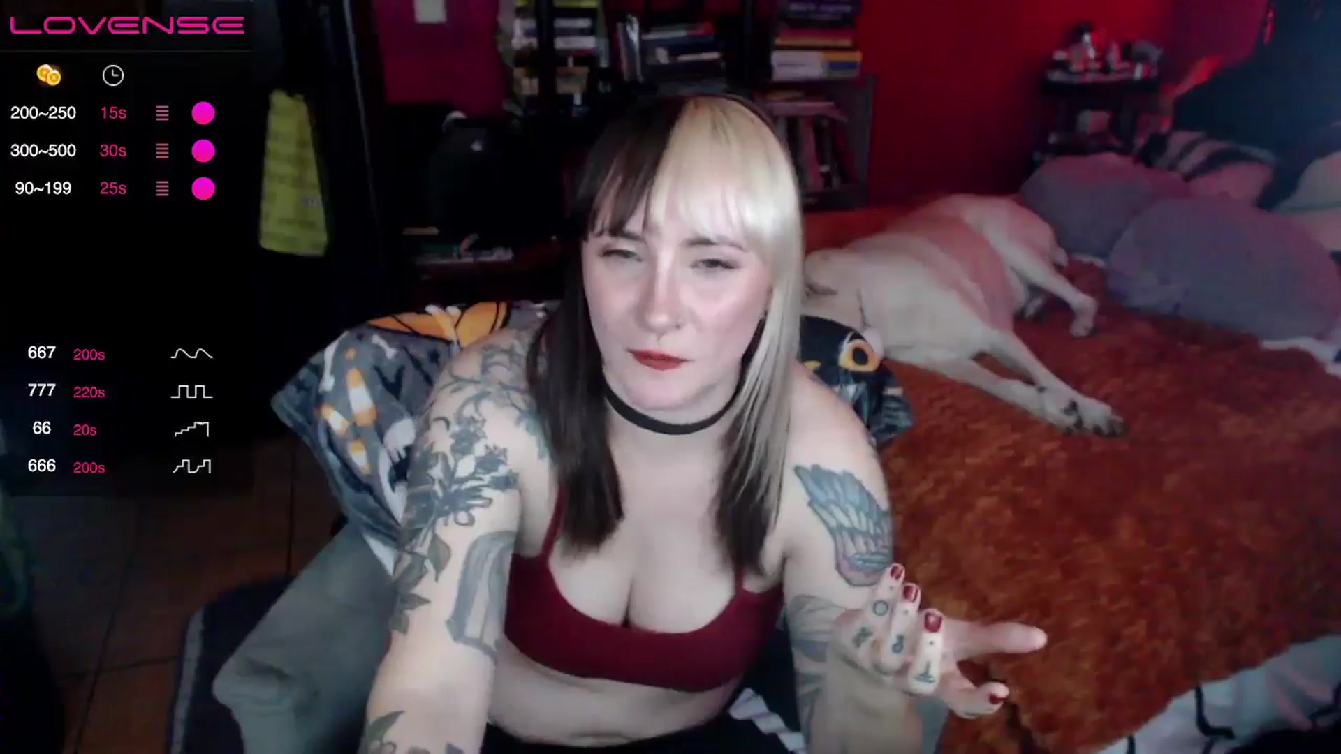Gallery image thumbnail from AxeHallow's myfreecams stream on, 06/23/2024, 07:41 image 6 of 20