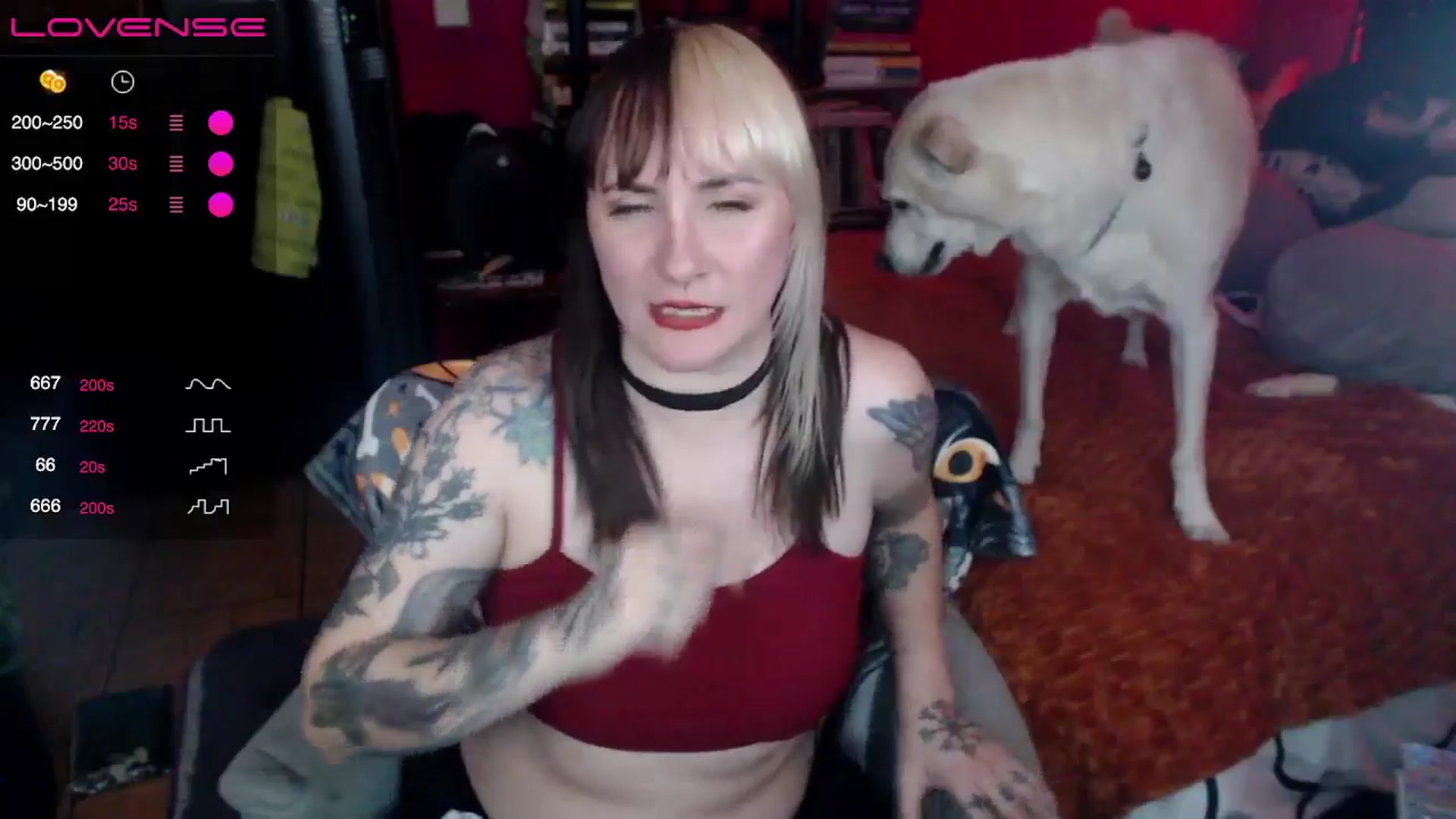 Gallery image thumbnail from AxeHallow's myfreecams stream on, 06/23/2024, 07:41 image 13 of 20