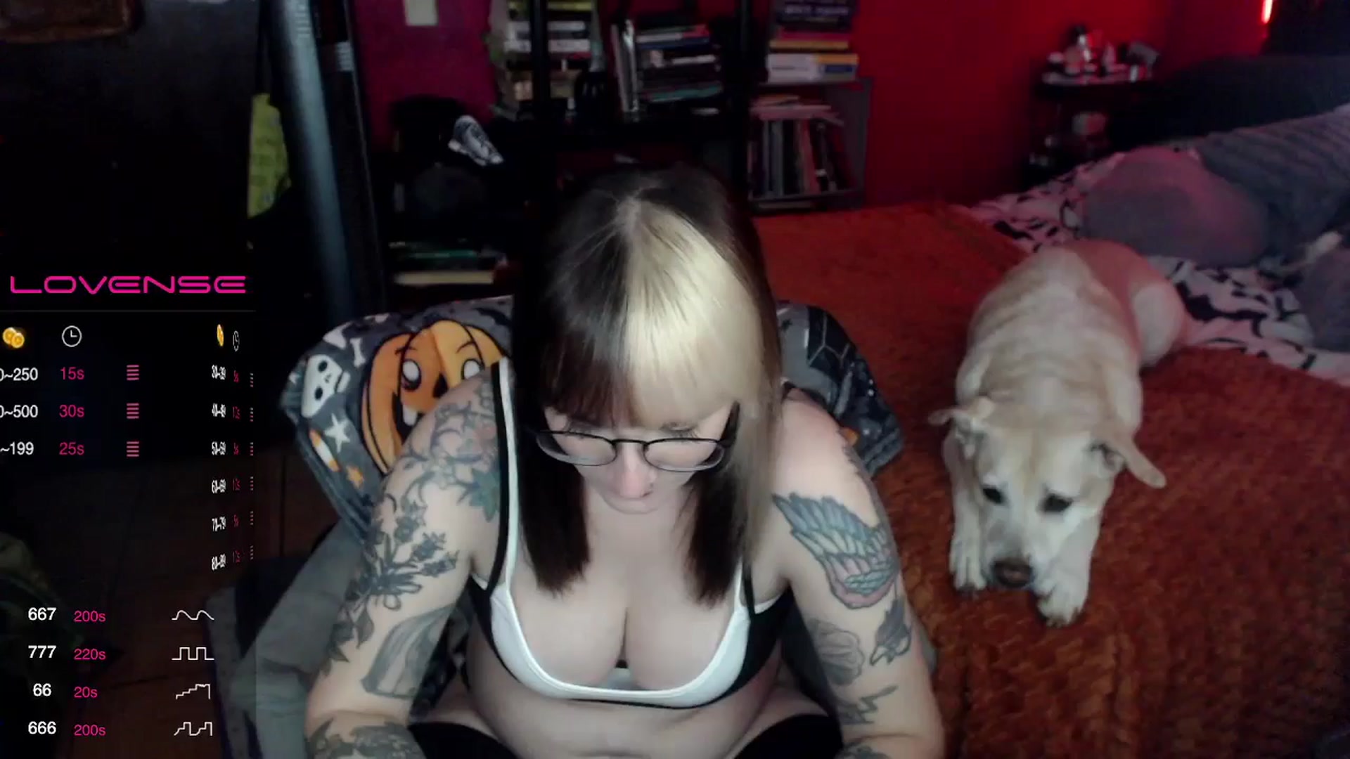 Gallery image thumbnail from AxeHallow's myfreecams stream on, 06/27/2024, 23:24 image 16 of 20