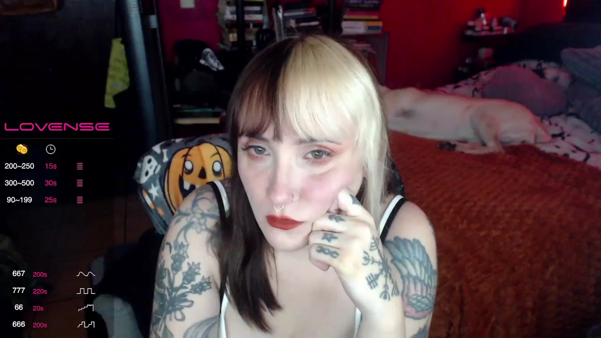 Gallery image thumbnail from AxeHallow's myfreecams stream on, 06/27/2024, 23:24 image 3 of 20