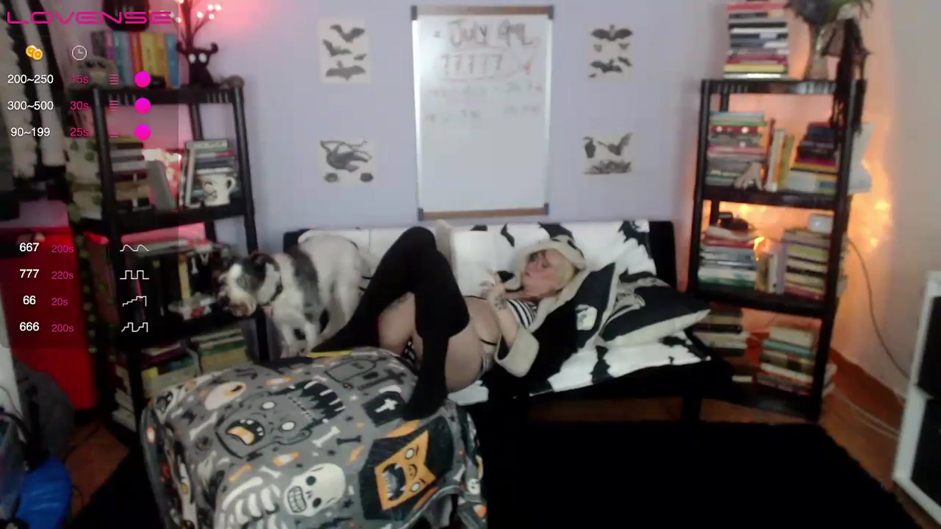 Gallery image thumbnail from AxeHallow's myfreecams stream on, 07/18/2024, 01:26 image 4 of 20