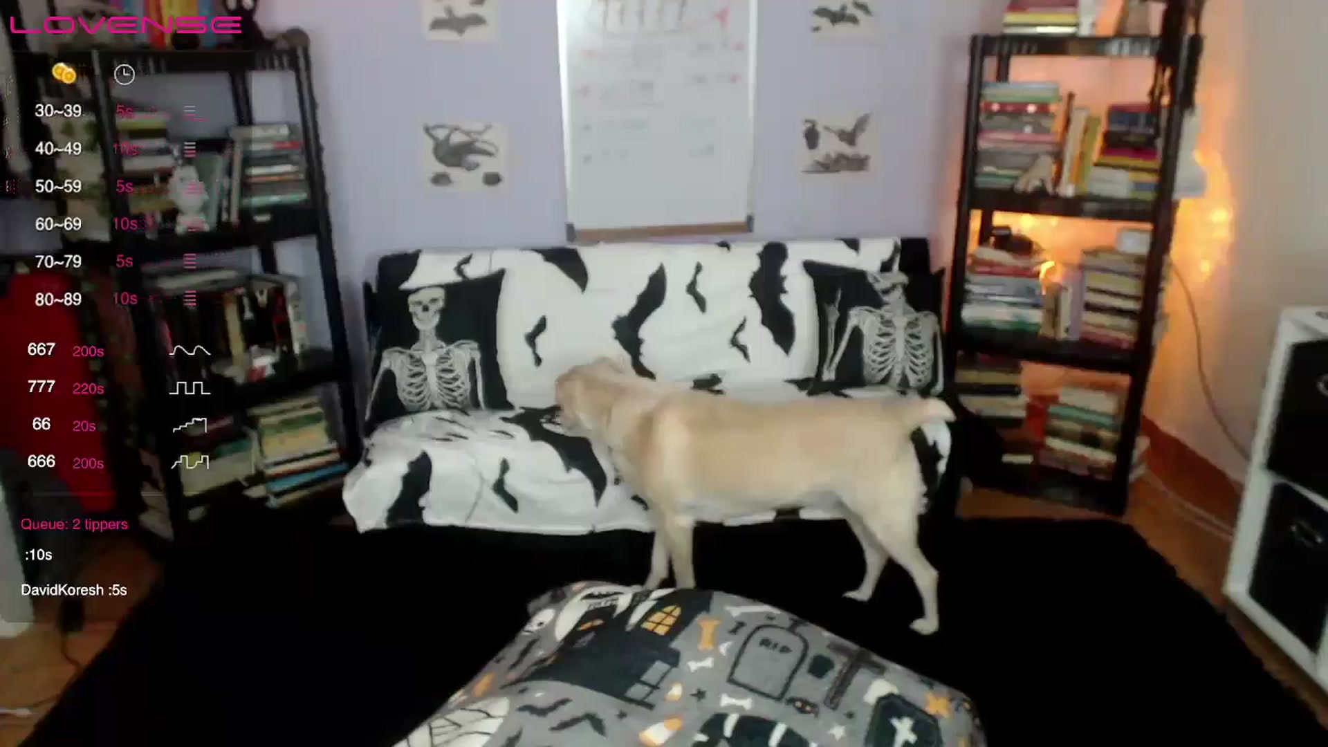 Gallery image thumbnail from AxeHallow's myfreecams stream on, 07/24/2024, 03:25 image 15 of 20