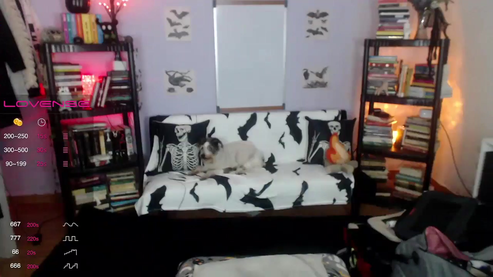 Gallery image thumbnail from AxeHallow's myfreecams stream on, 08/29/2024, 24:02 image 2 of 20