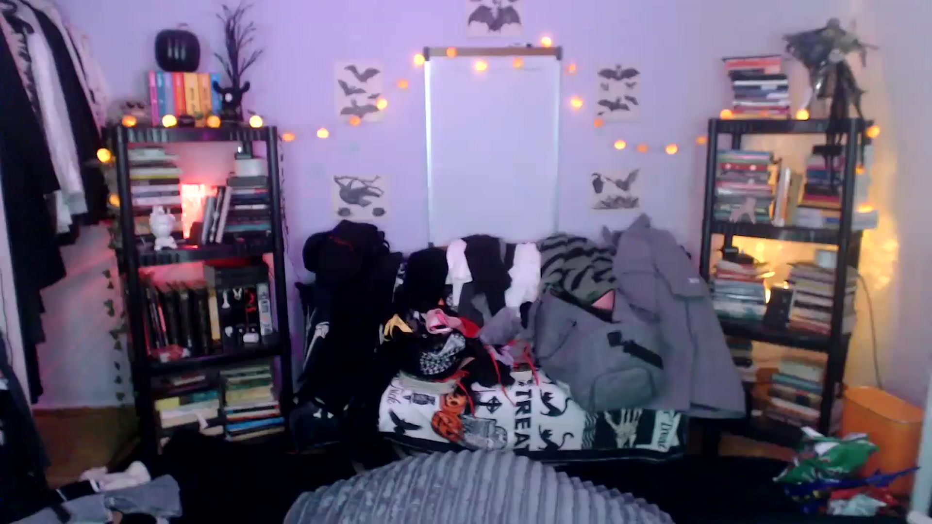 Gallery image thumbnail from AxeHallow's myfreecams stream on, 10/17/2024, 11:59 image 15 of 20