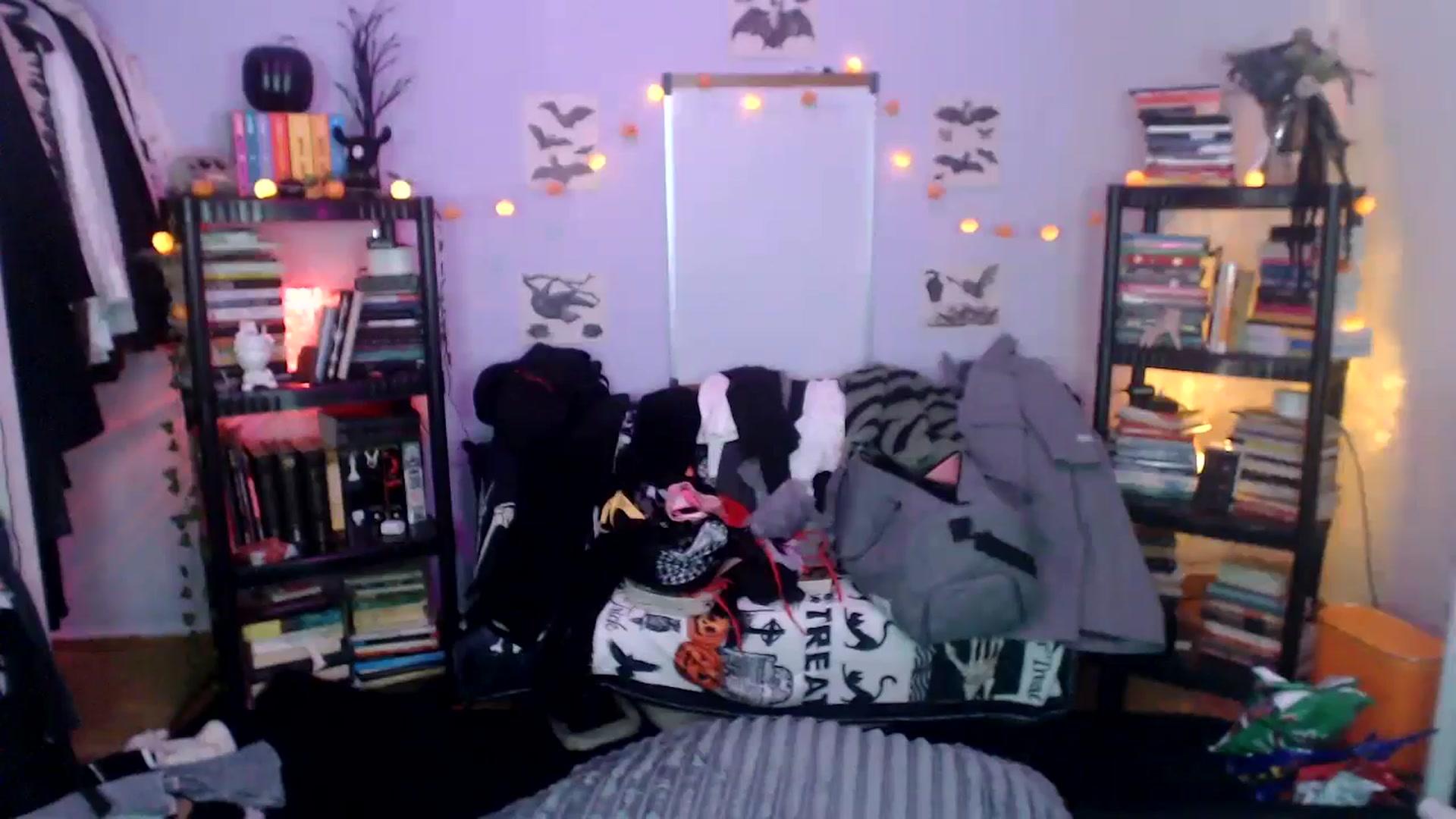 Gallery image thumbnail from AxeHallow's myfreecams stream on, 10/17/2024, 11:59 image 3 of 20