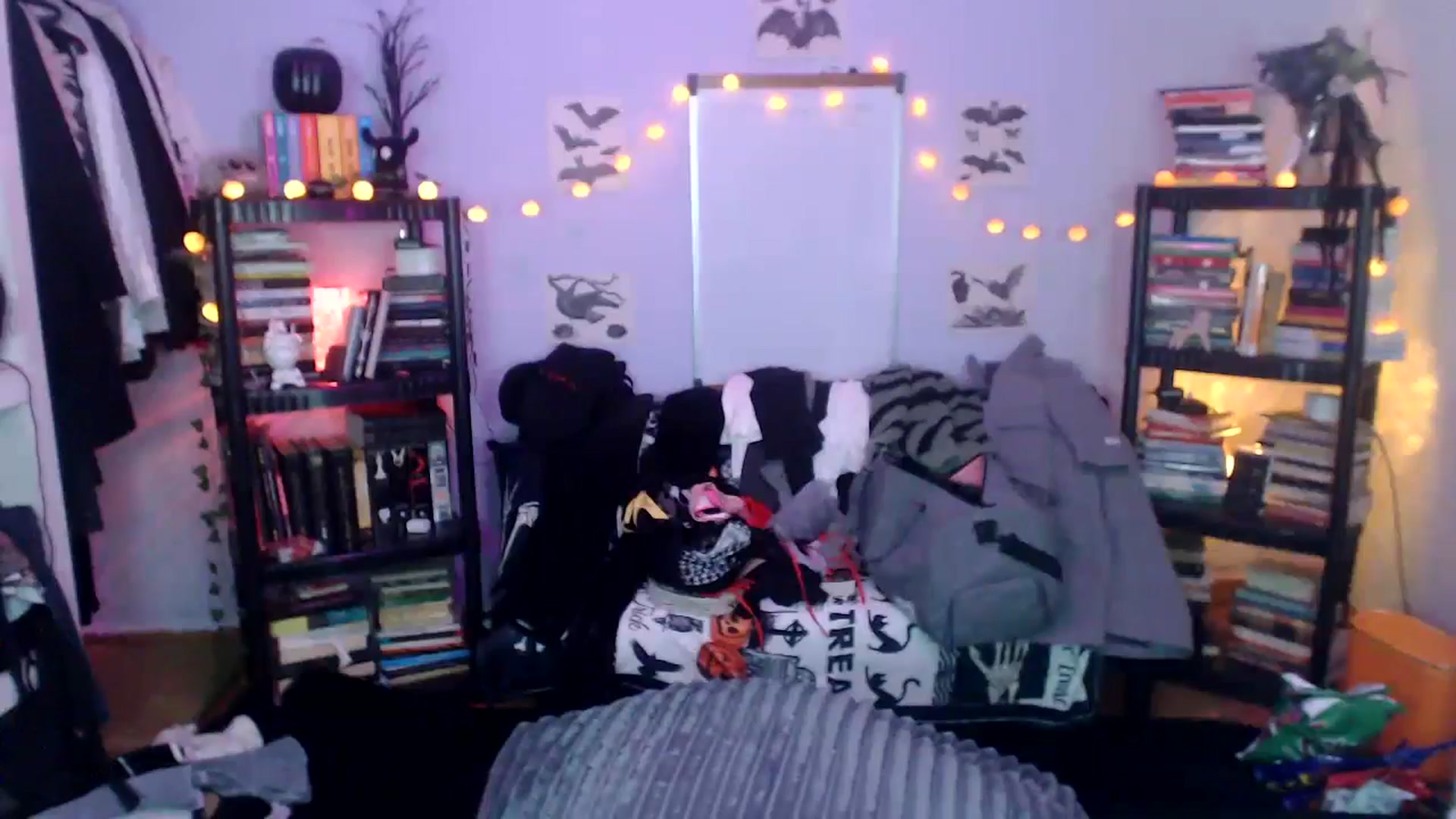 Gallery image thumbnail from AxeHallow's myfreecams stream on, 10/17/2024, 13:15 image 6 of 20