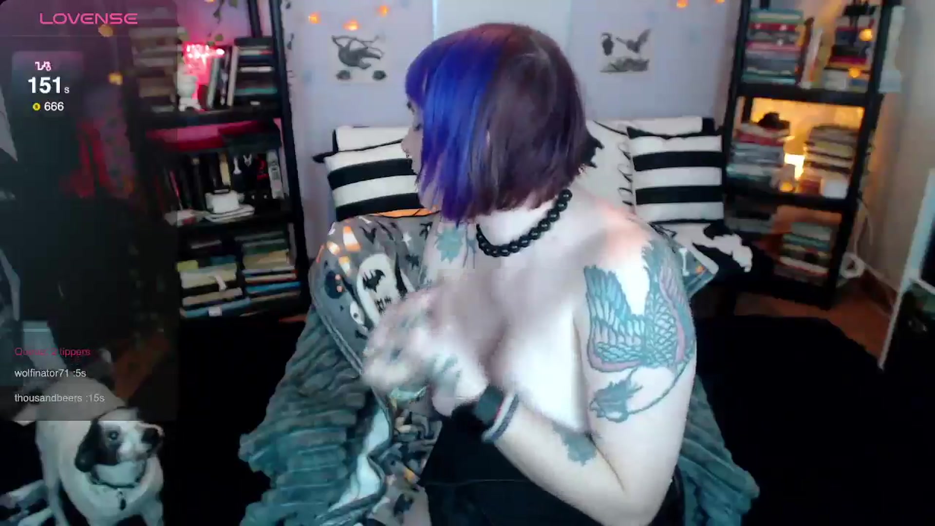 Gallery image thumbnail from AxeHallow's myfreecams stream on, 01/01/2025, 01:54 image 6 of 20