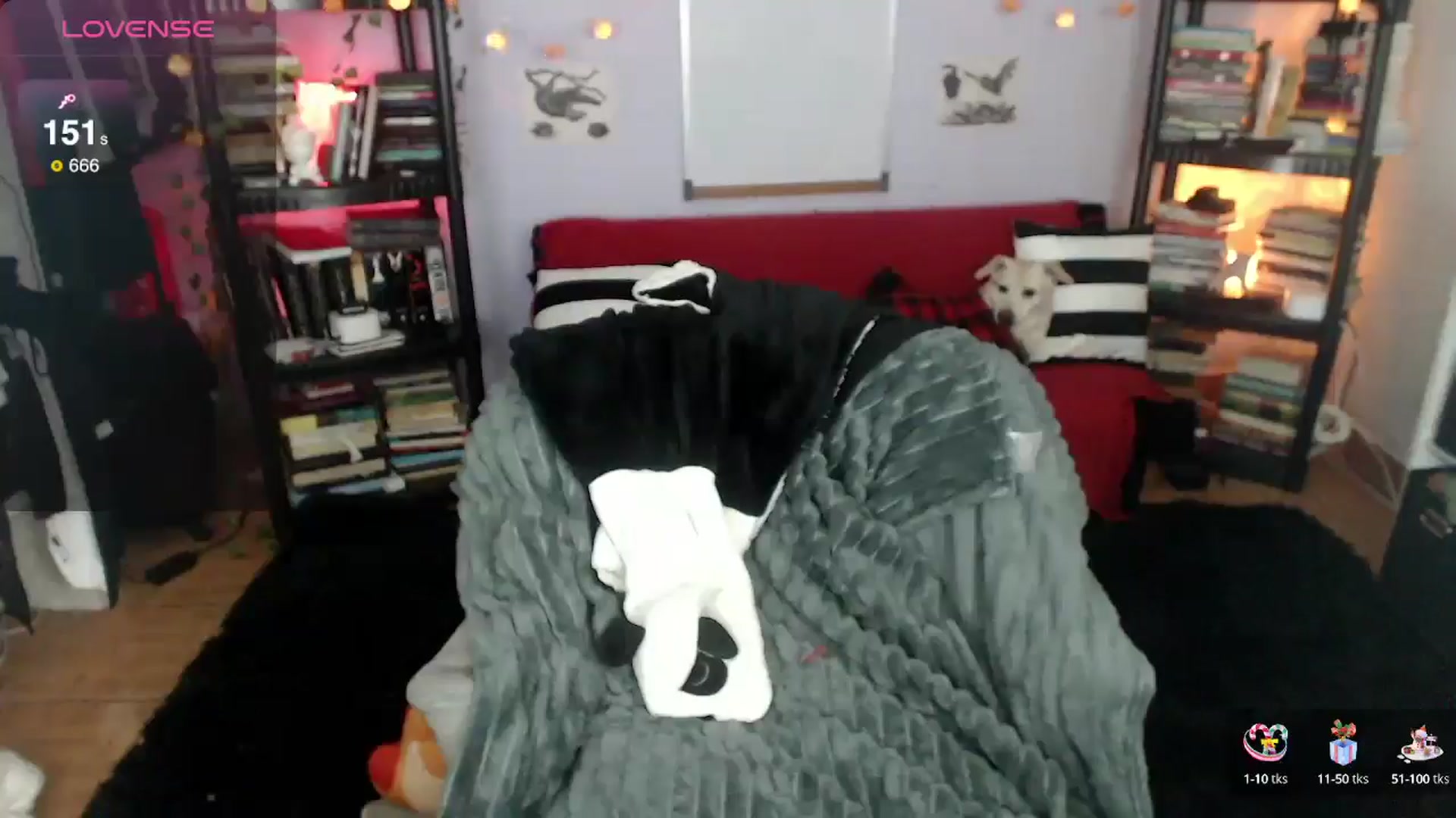 Gallery image thumbnail from AxeHallow's myfreecams stream on, 01/15/2025, 24:53 image 14 of 20