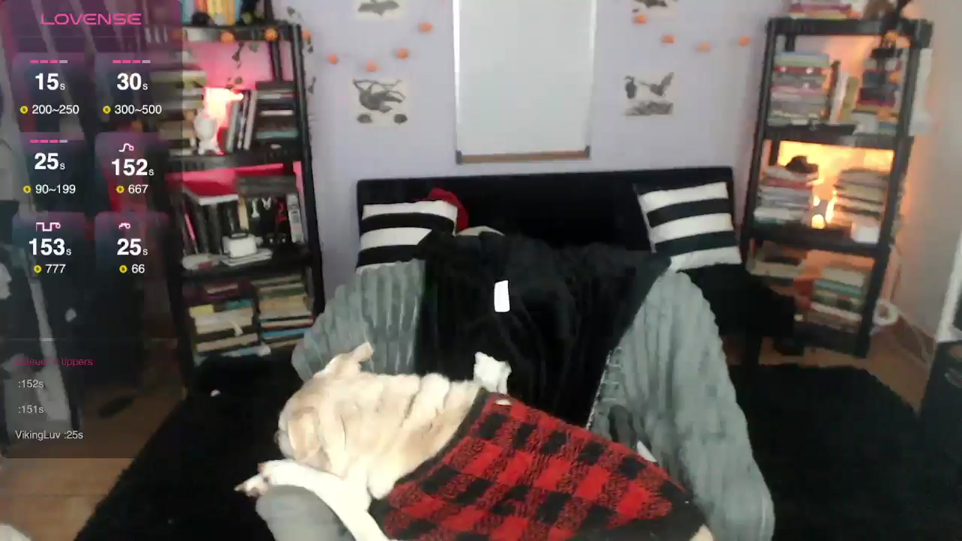 Gallery image thumbnail from AxeHallow's myfreecams stream on, 01/15/2025, 05:01 image 8 of 20