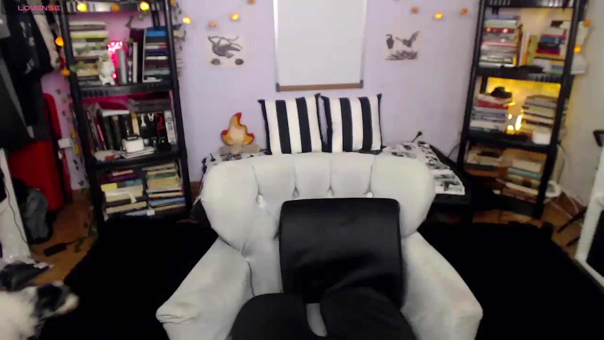Gallery image thumbnail from AxeHallow's myfreecams stream on, 02/11/2025, 01:15 image 8 of 20