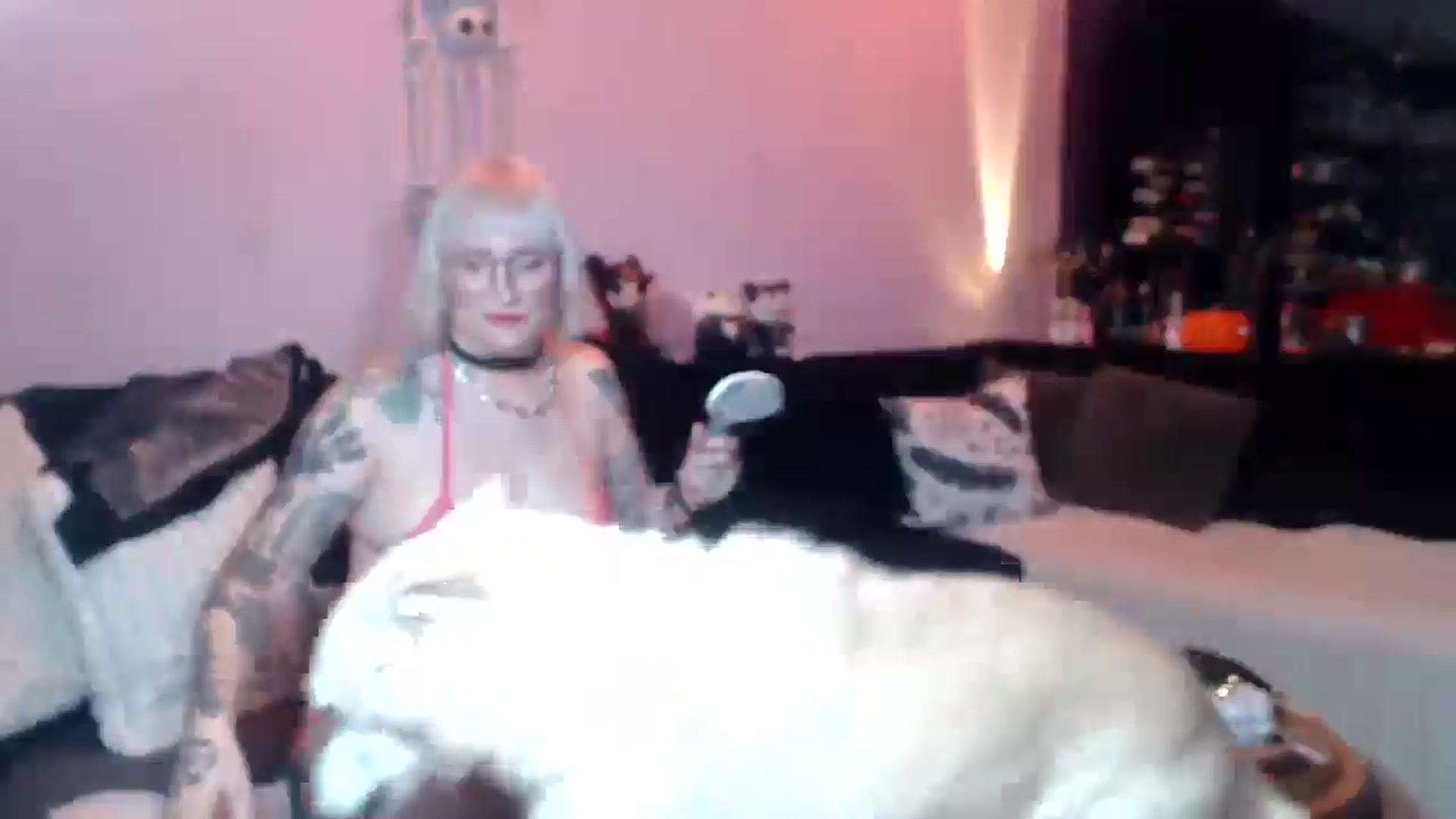 Gallery image thumbnail from AxeHallow's myfreecams stream on, 04/01/2025, 24:01 image 11 of 20
