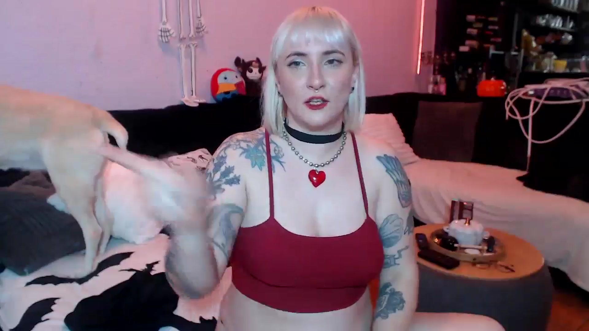 Gallery image thumbnail from AxeHallow's myfreecams stream on, 04/17/2025, 22:14 image 17 of 20