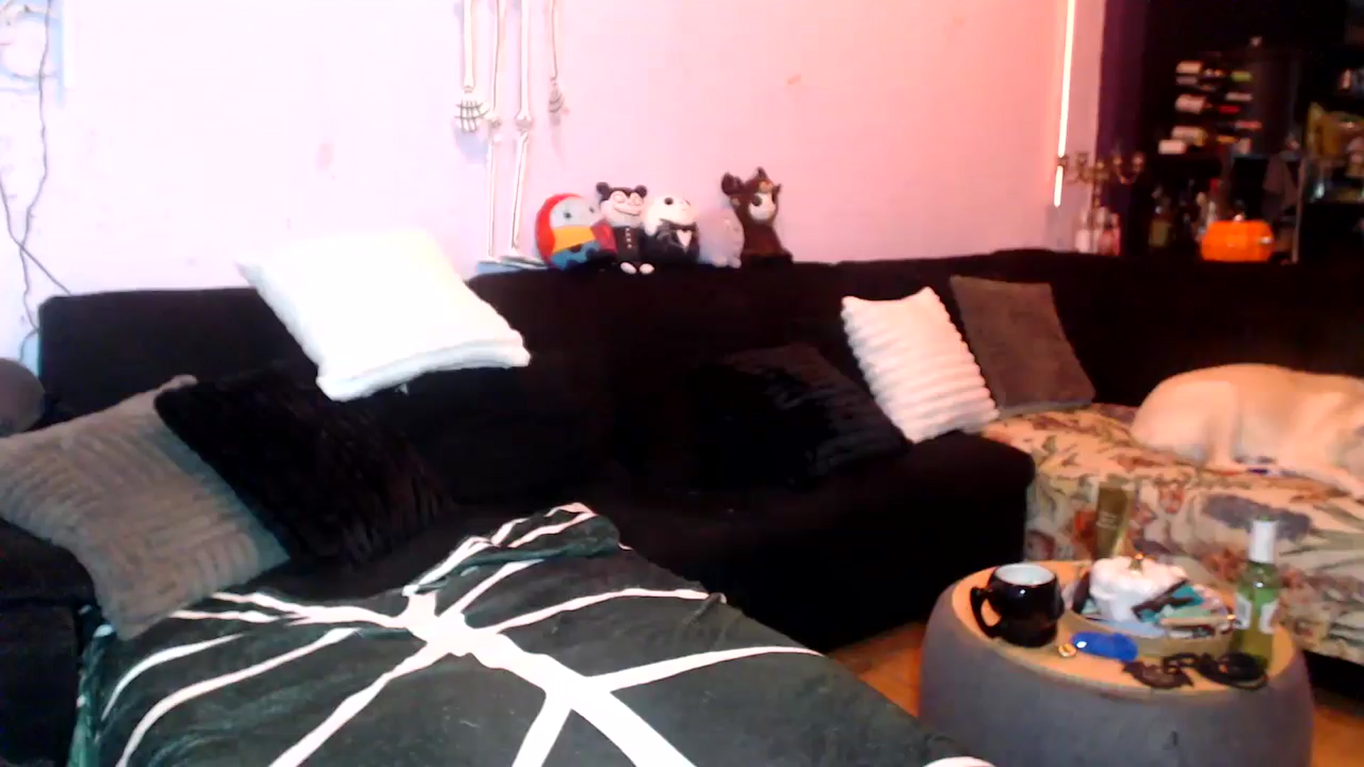 Gallery image thumbnail from AxeHallow's myfreecams stream on, 05/04/2025, 03:58 image 4 of 20