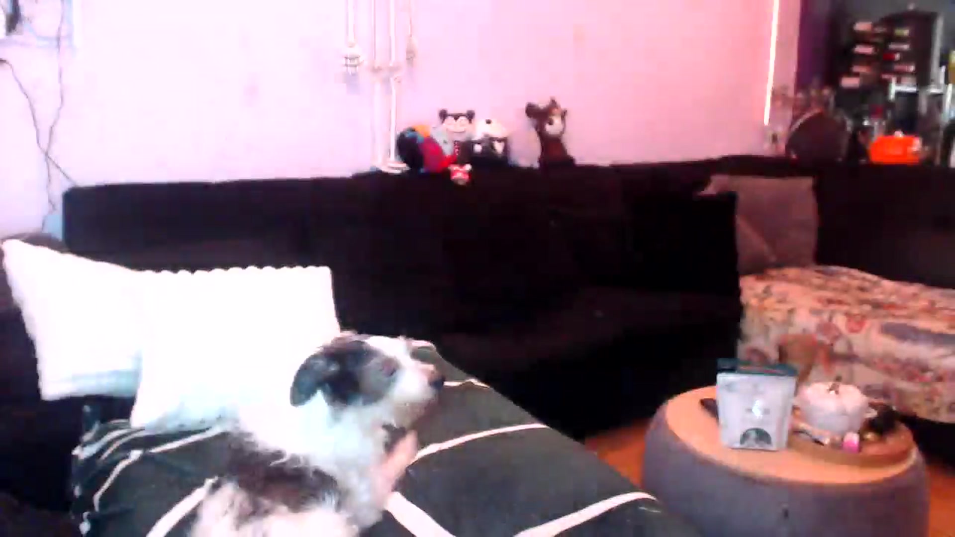 Gallery image thumbnail from AxeHallow's myfreecams stream on, 05/10/2025, 21:01 image 6 of 20