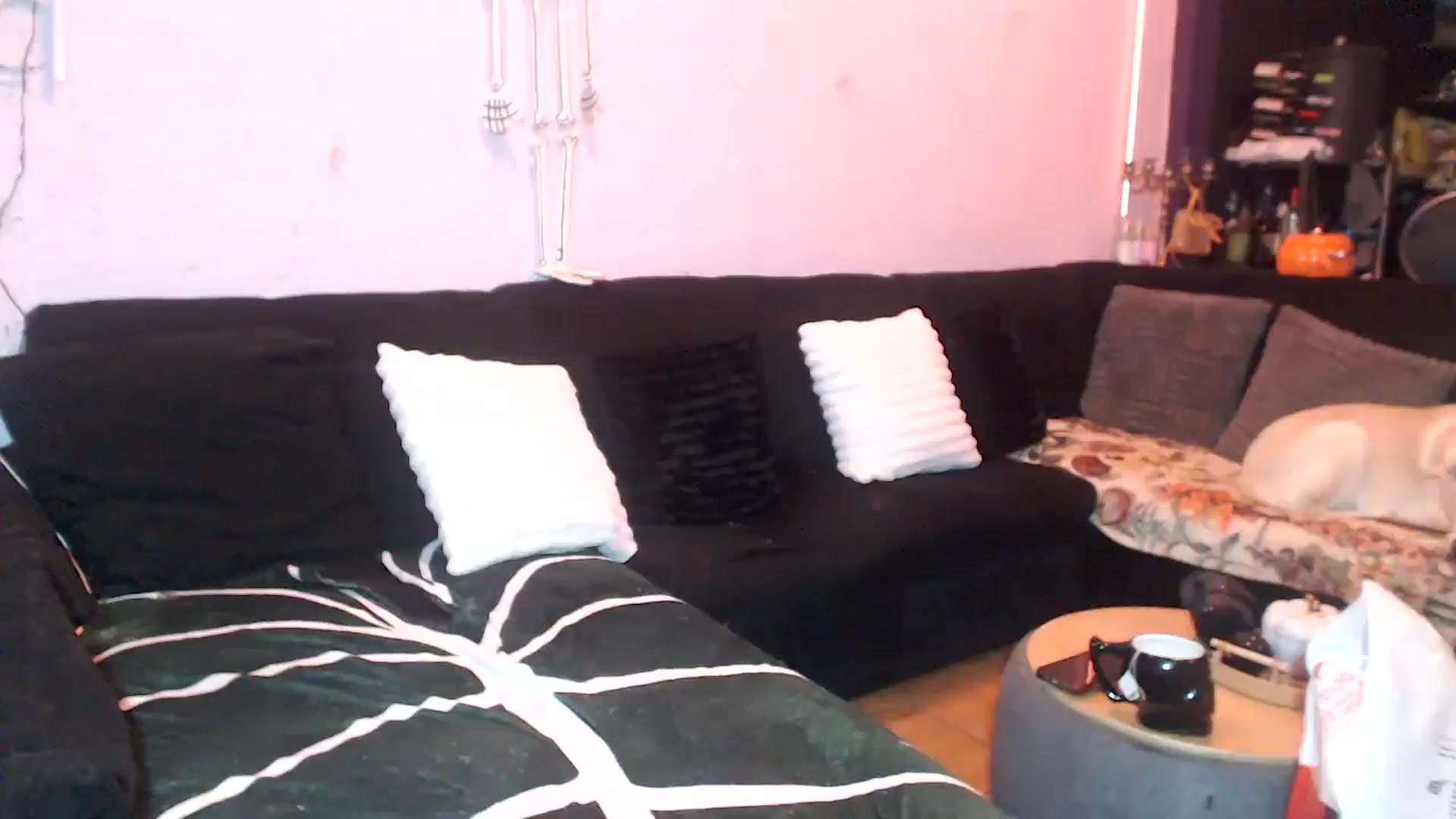 Gallery image thumbnail from AxeHallow's myfreecams stream on, 05/29/2025, 09:06 image 4 of 20