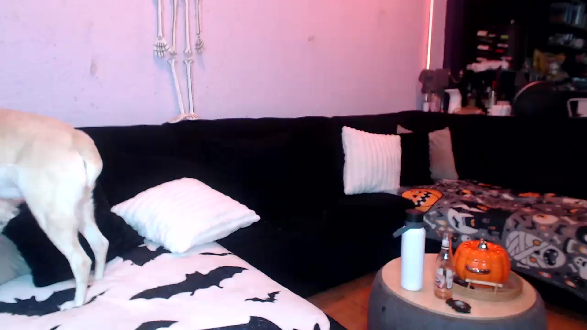Gallery image thumbnail from AxeHallow's myfreecams stream on, 06/11/2025, 23:57 image 9 of 20