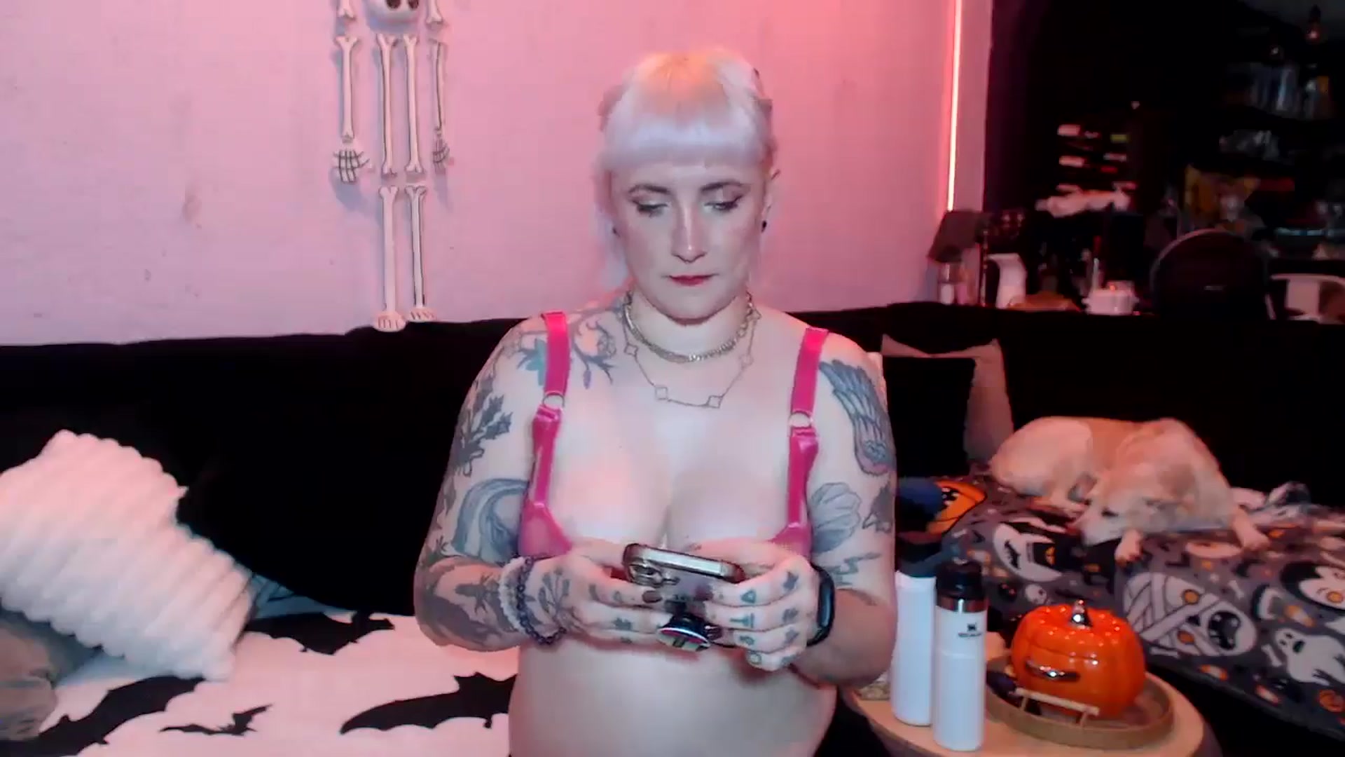 Gallery image thumbnail from AxeHallow's myfreecams stream on, 06/15/2025, 24:01 image 20 of 20