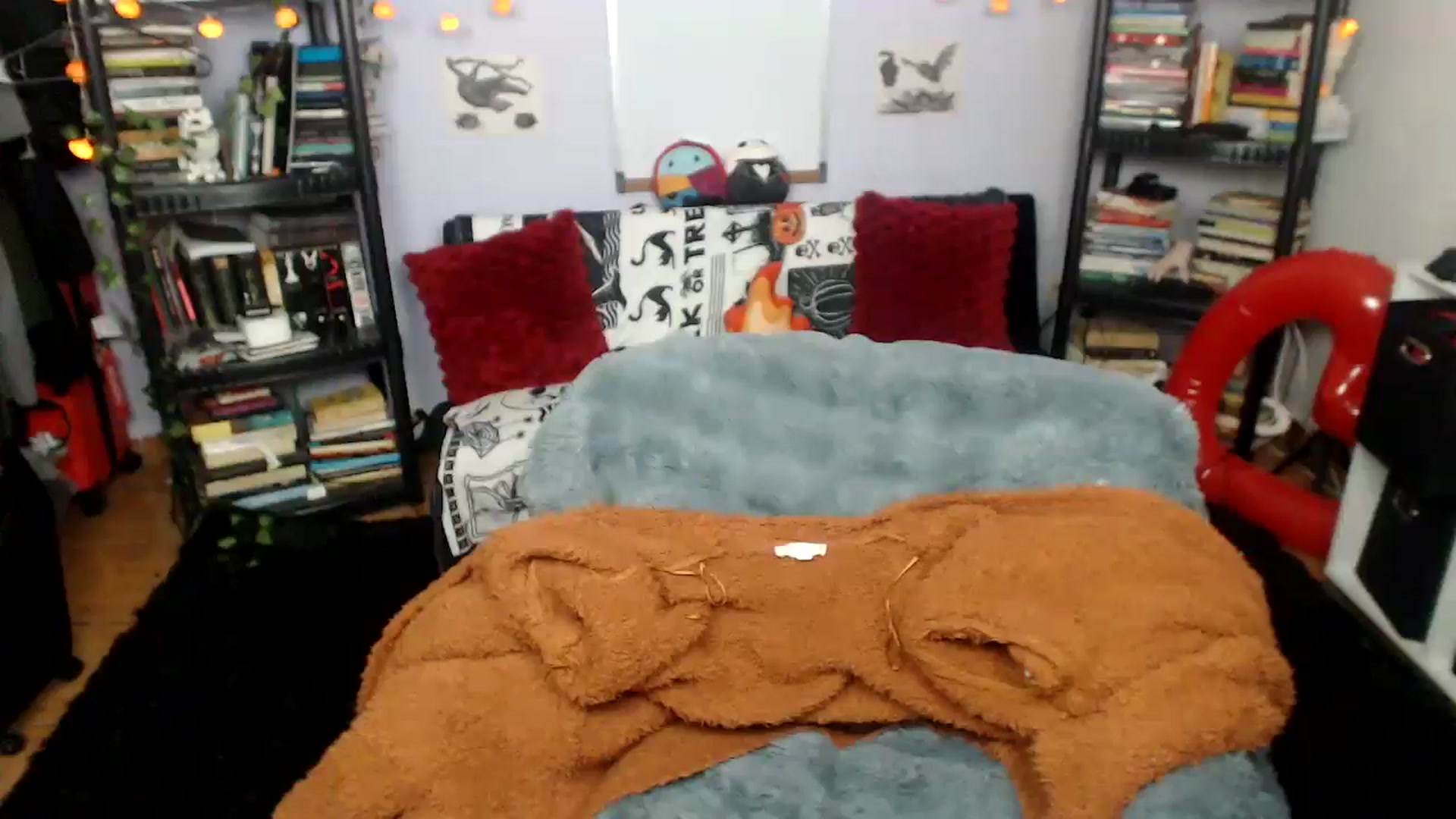 Gallery image thumbnail from AxeHallow's myfreecams stream on, 08/13/2025, 09:05 image 6 of 20