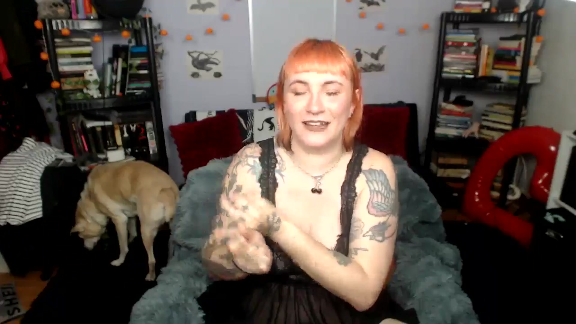 Gallery image thumbnail from AxeHallow's myfreecams stream on, 08/20/2025, 24:03 image 14 of 20